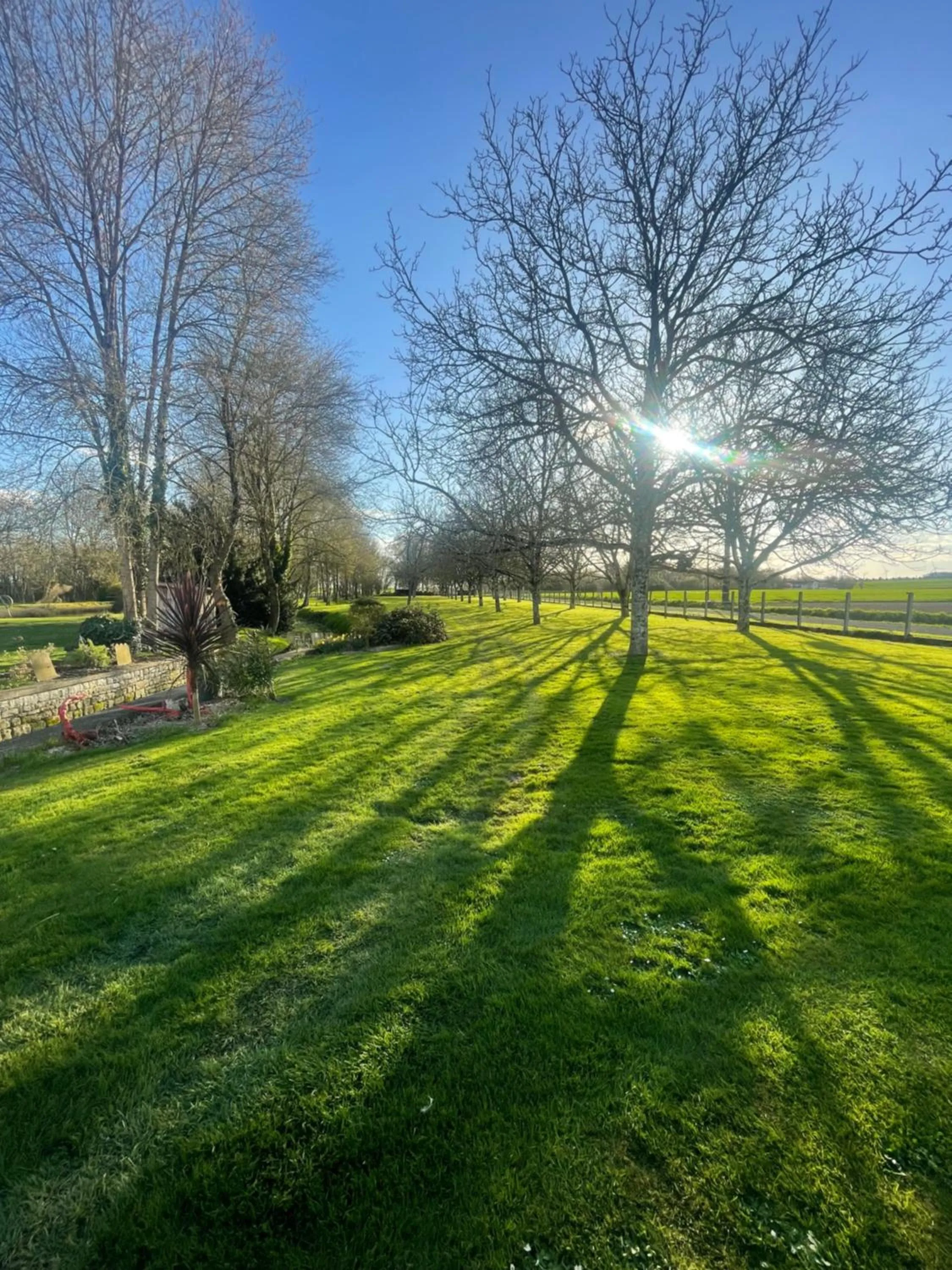 Le p'tit nid de Gabriel