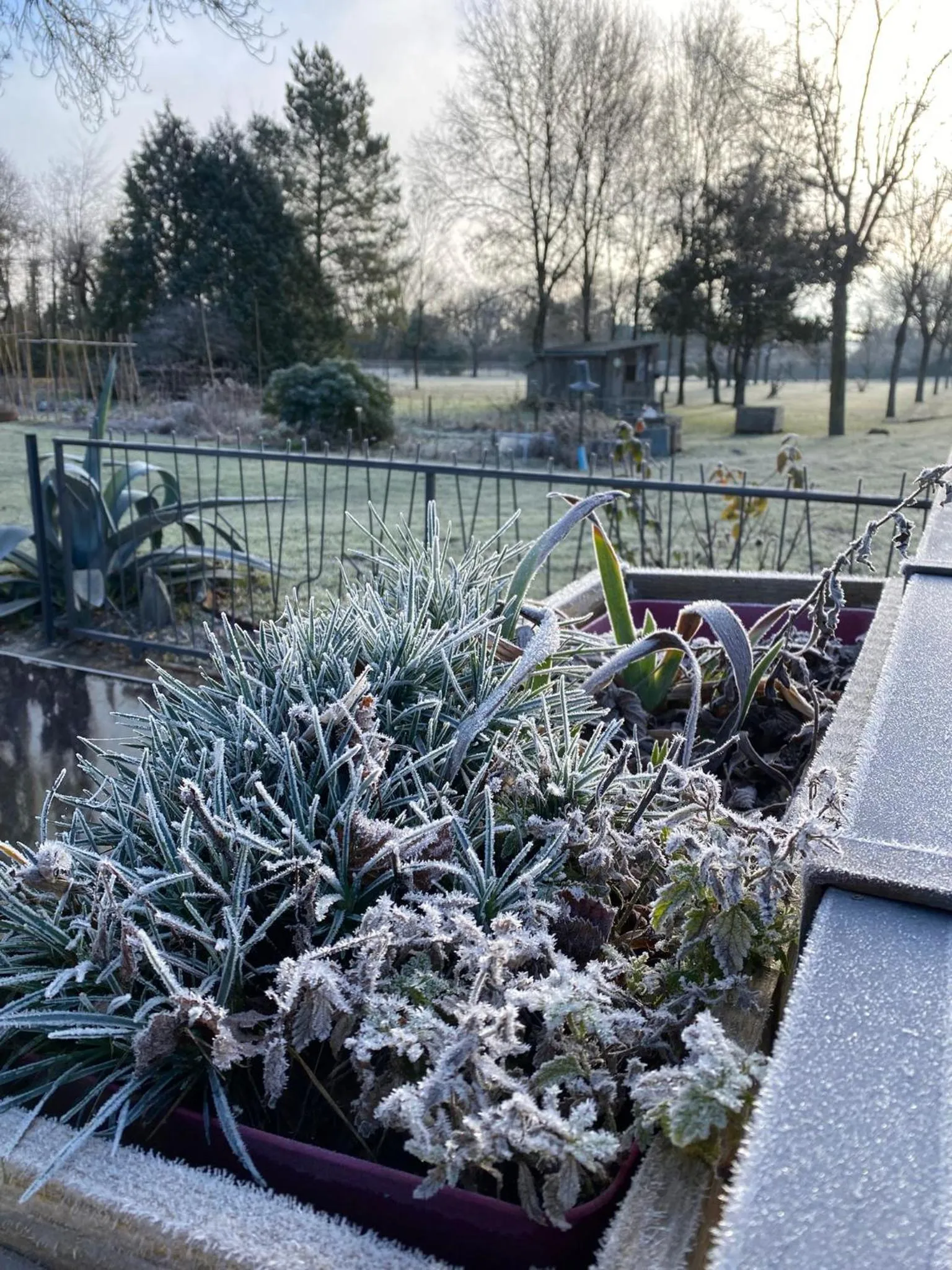 Le p'tit nid de Gabriel