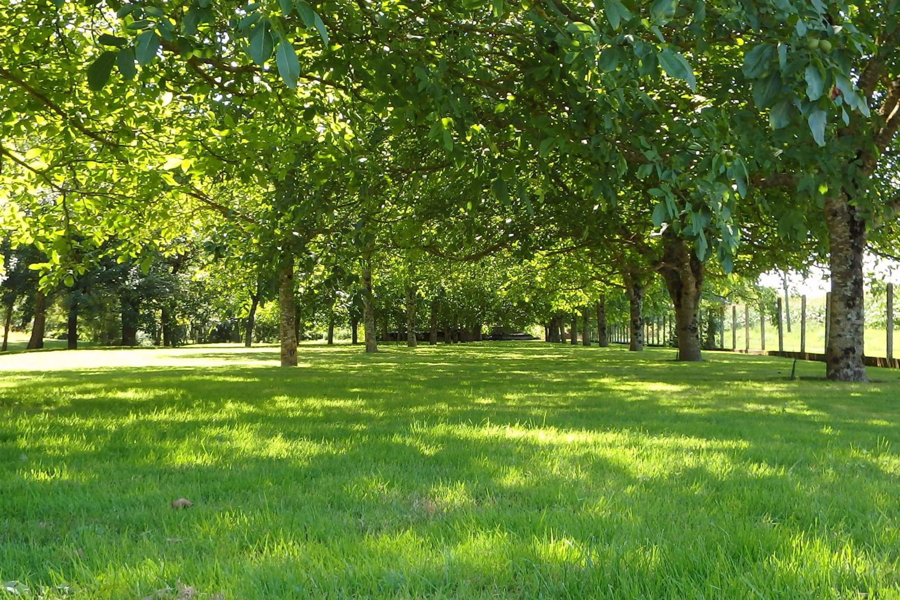 Natural landscape in Le p'tit nid de Gabriel