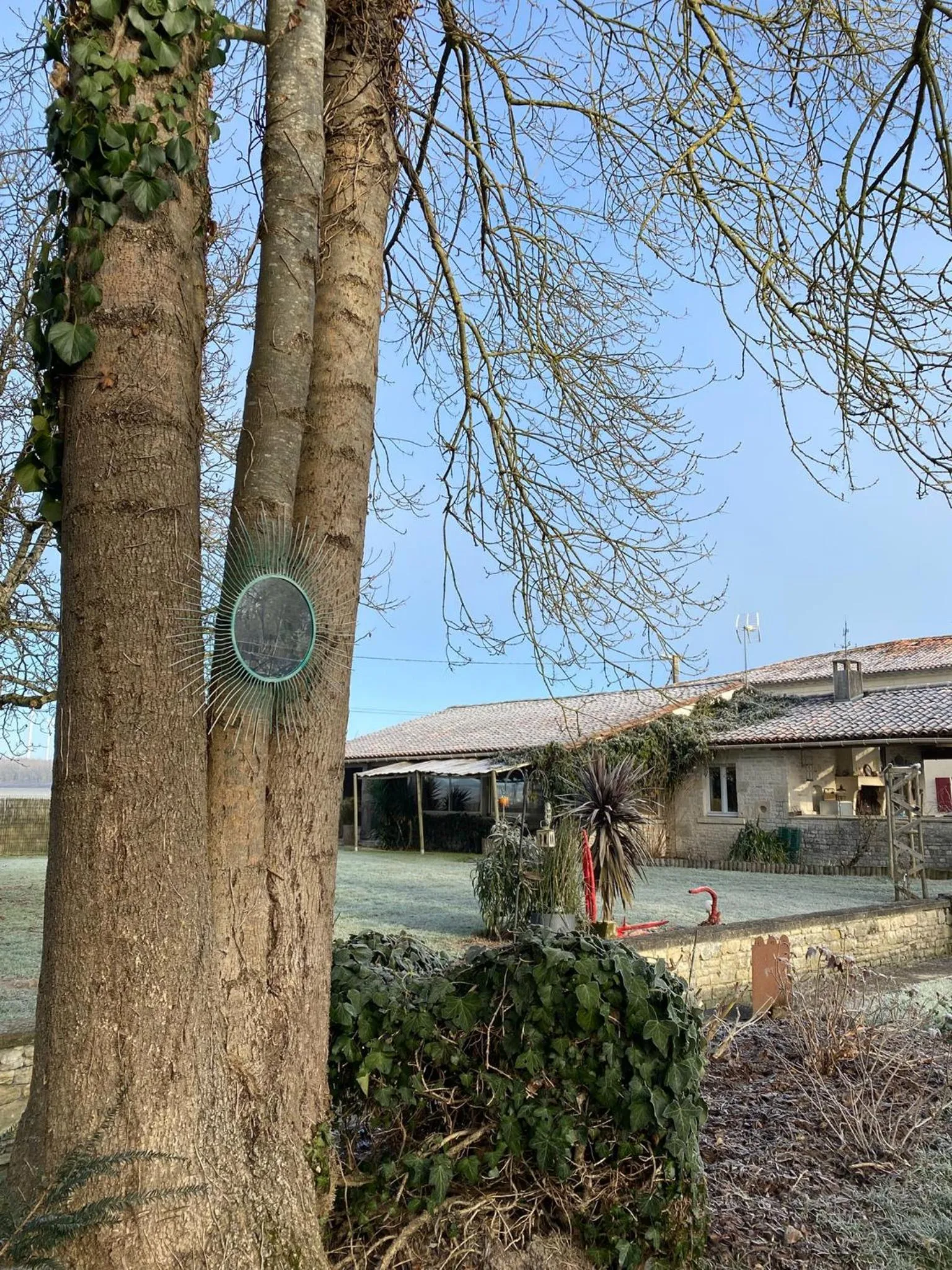 Le p'tit nid de Gabriel