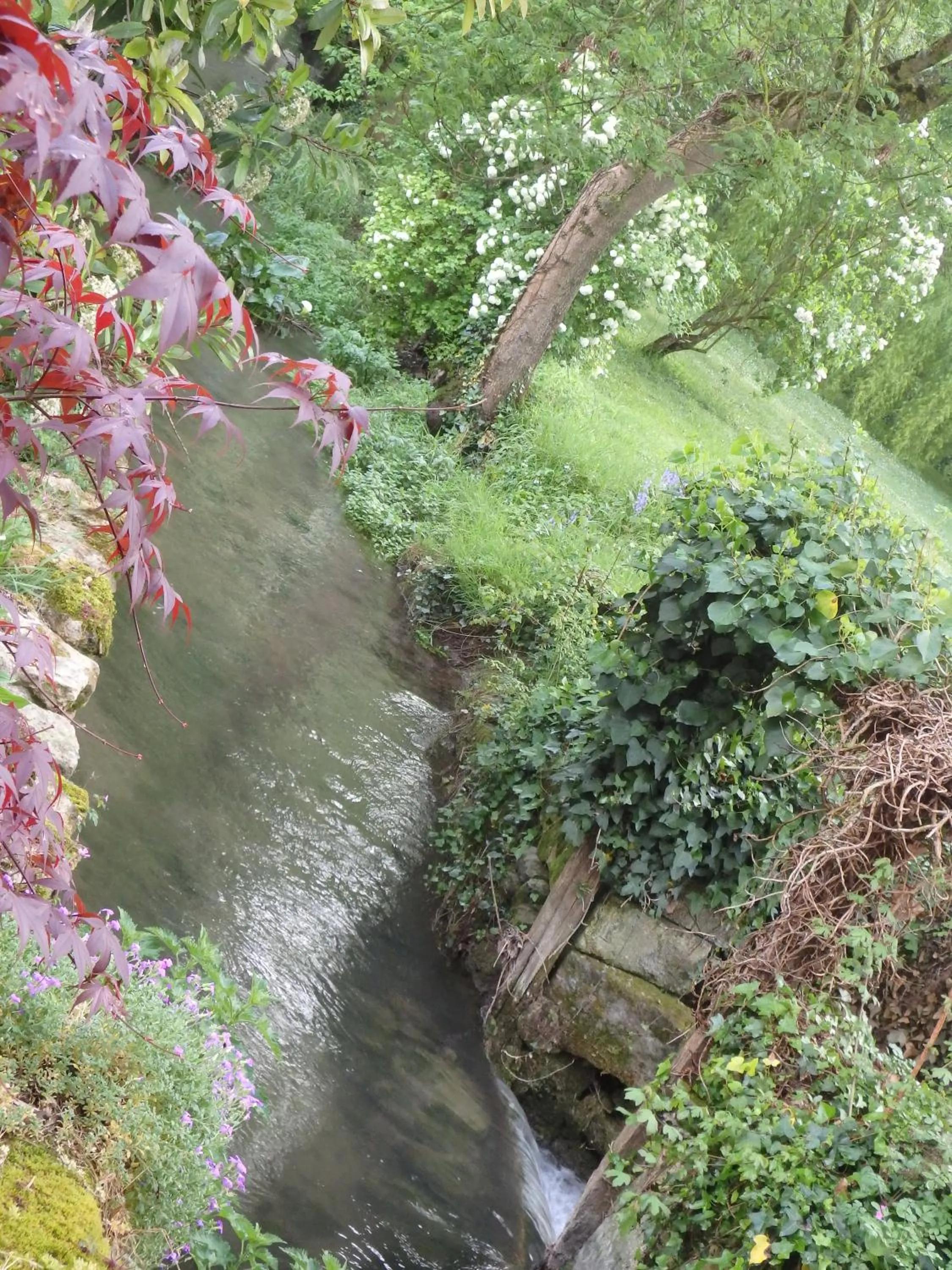 Spring in Le p'tit nid de Gabriel