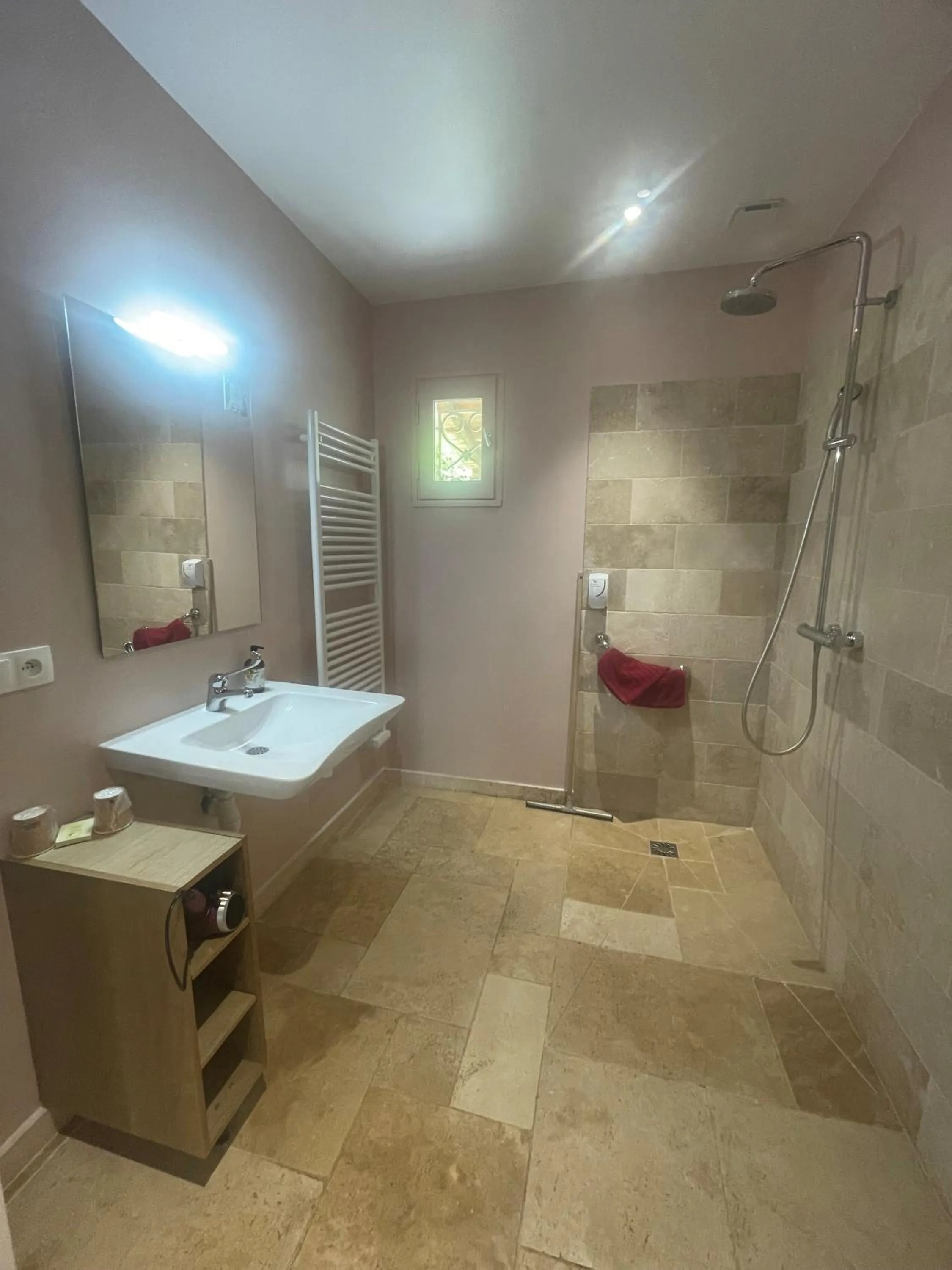 Shower in Logis Hotel Restaurant Le Domaine de la Régalière