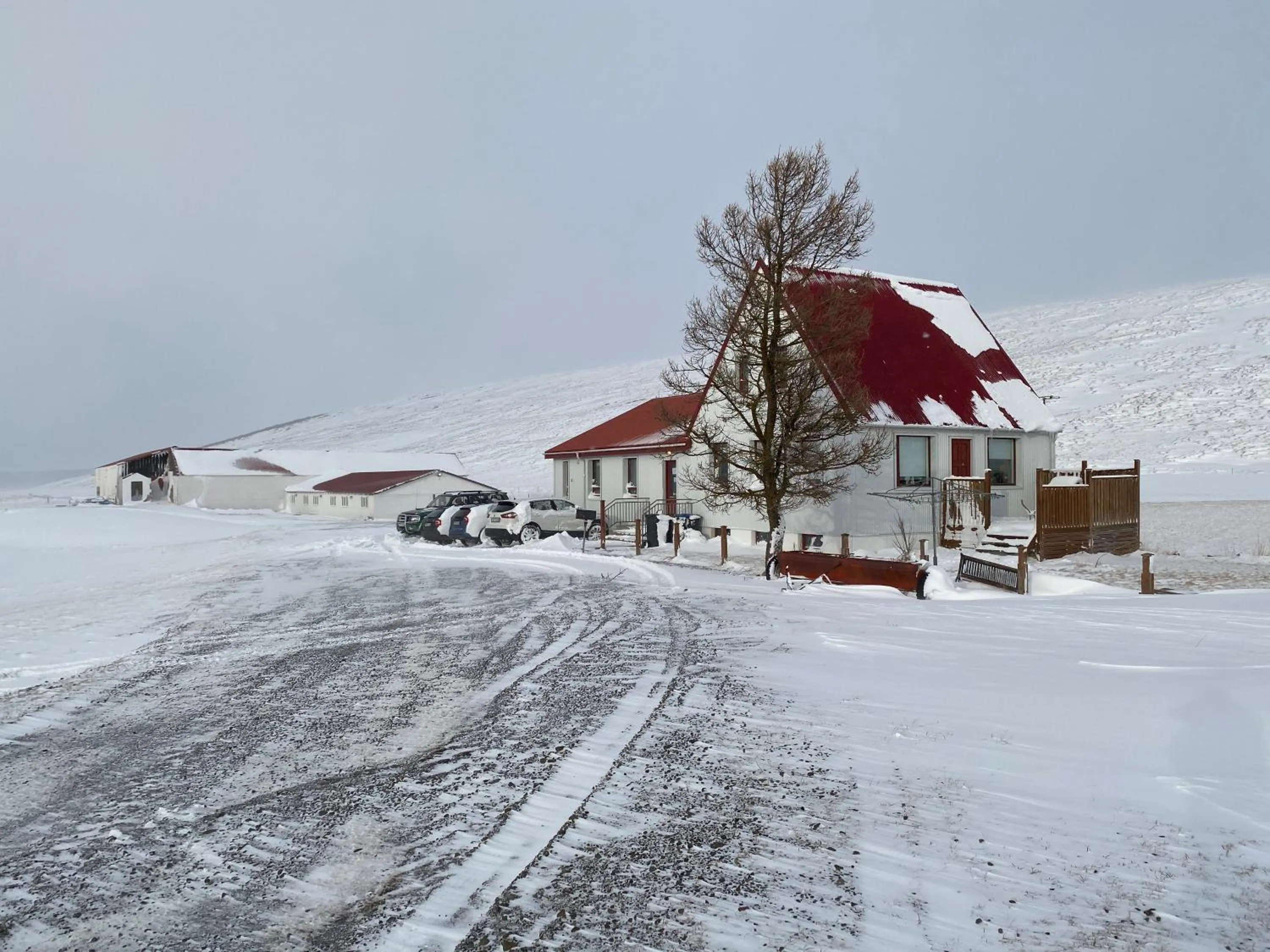Property building in Fljótsbakki Hotel