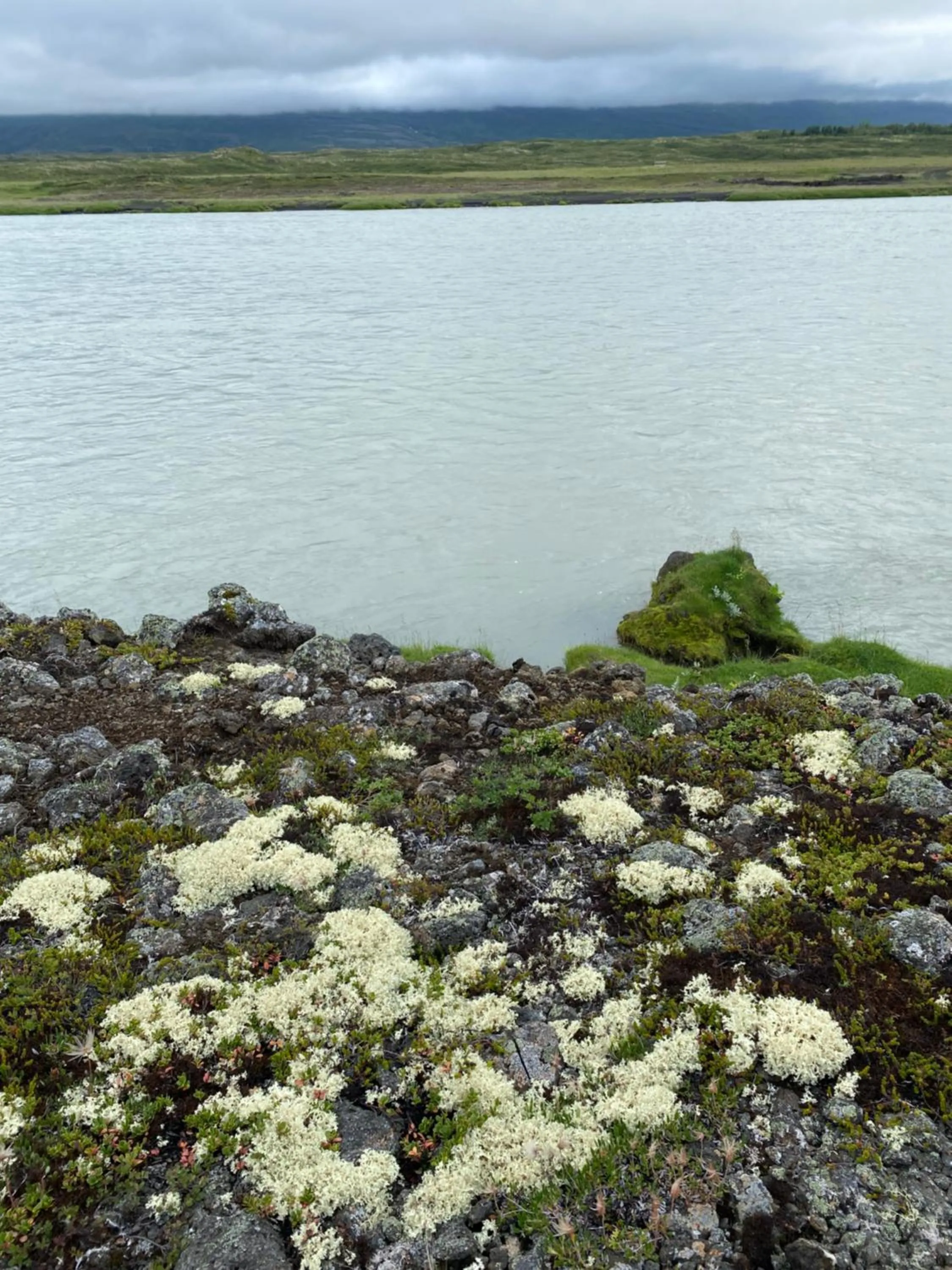 Natural landscape in Fljótsbakki Hotel
