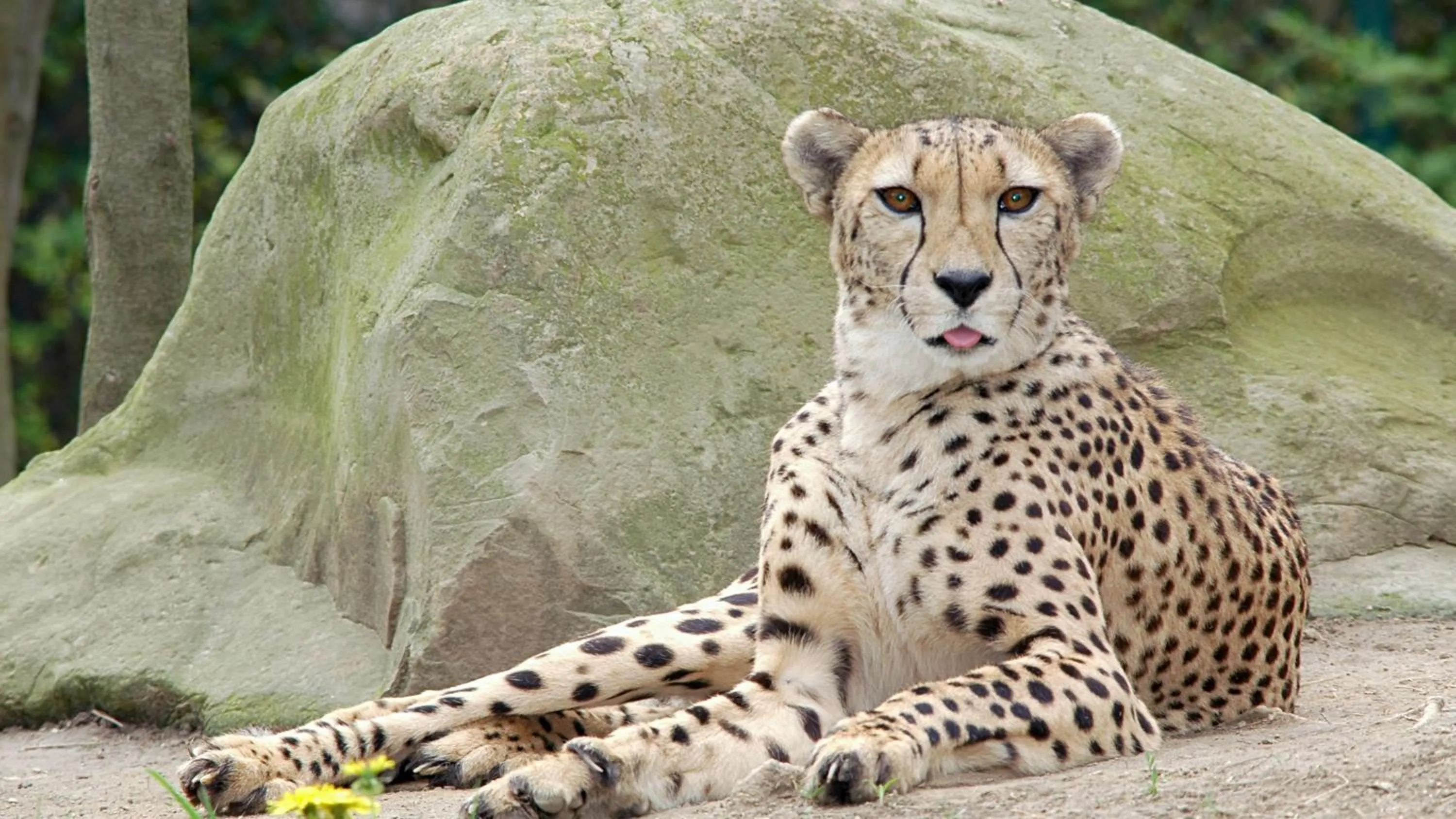 Nearby landmark in Holiday Inn Runcorn M56 Junction 12 by IHG