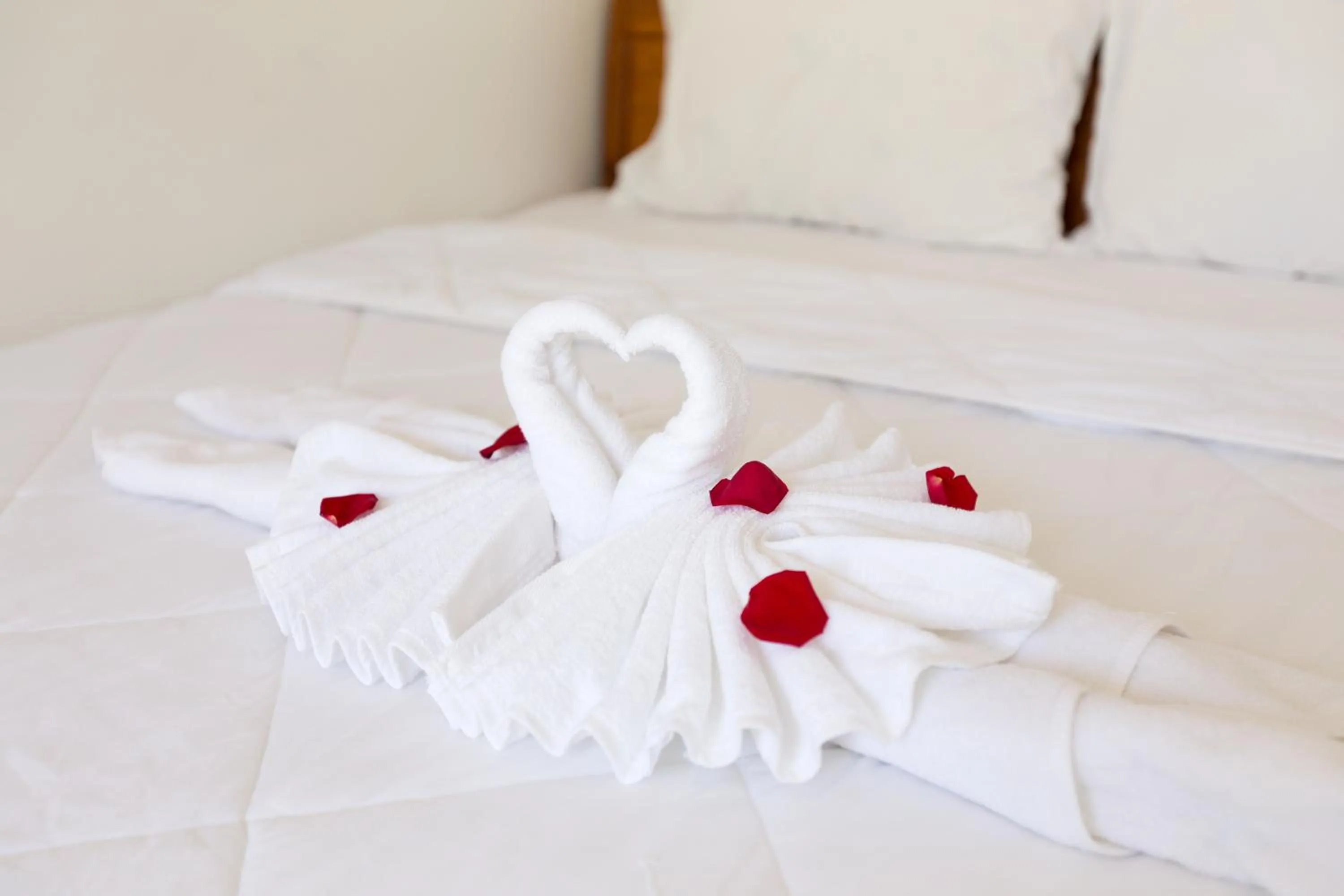 Bed in Green garden house