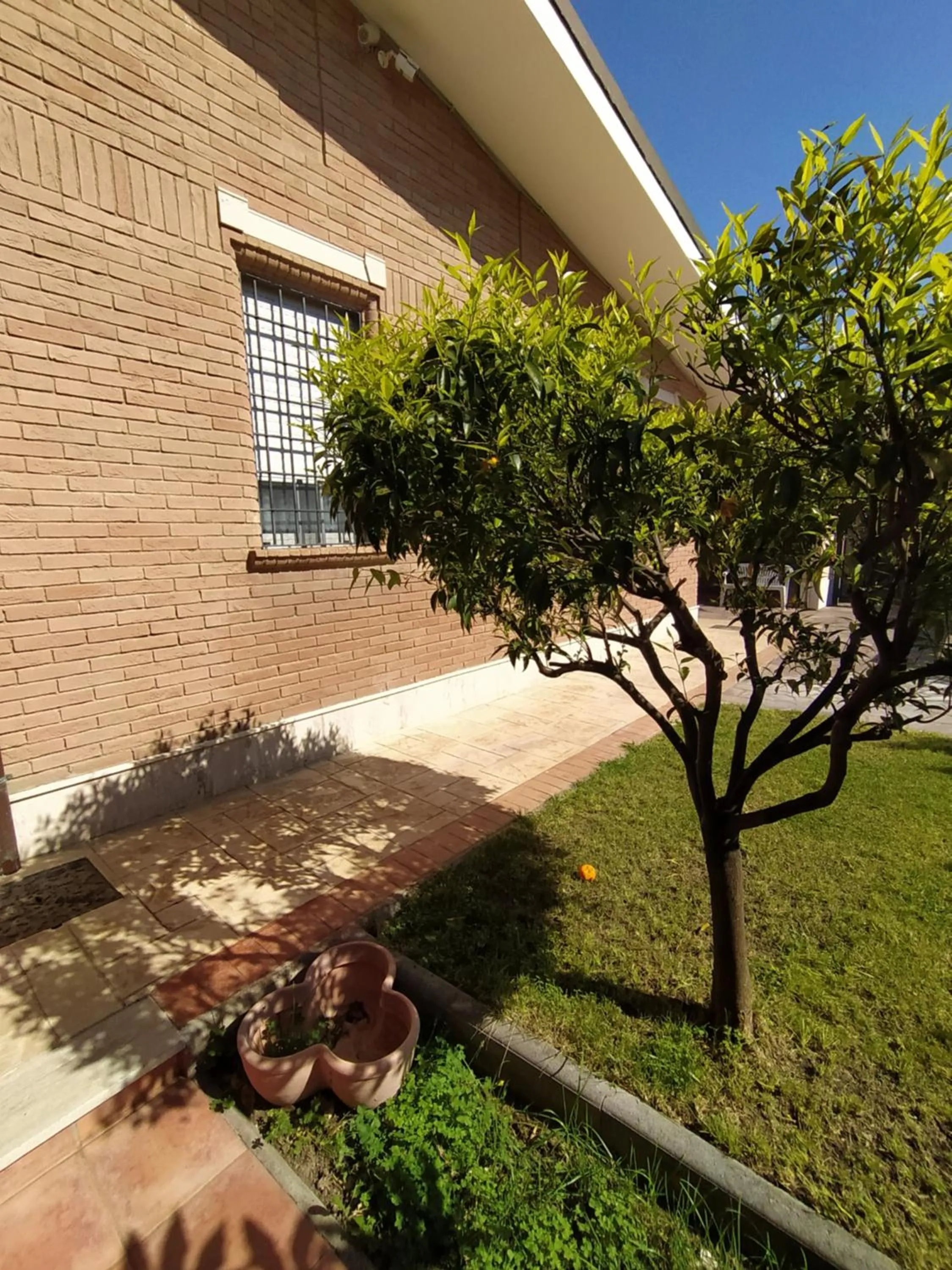 Property building in Mattoni Nel Verde