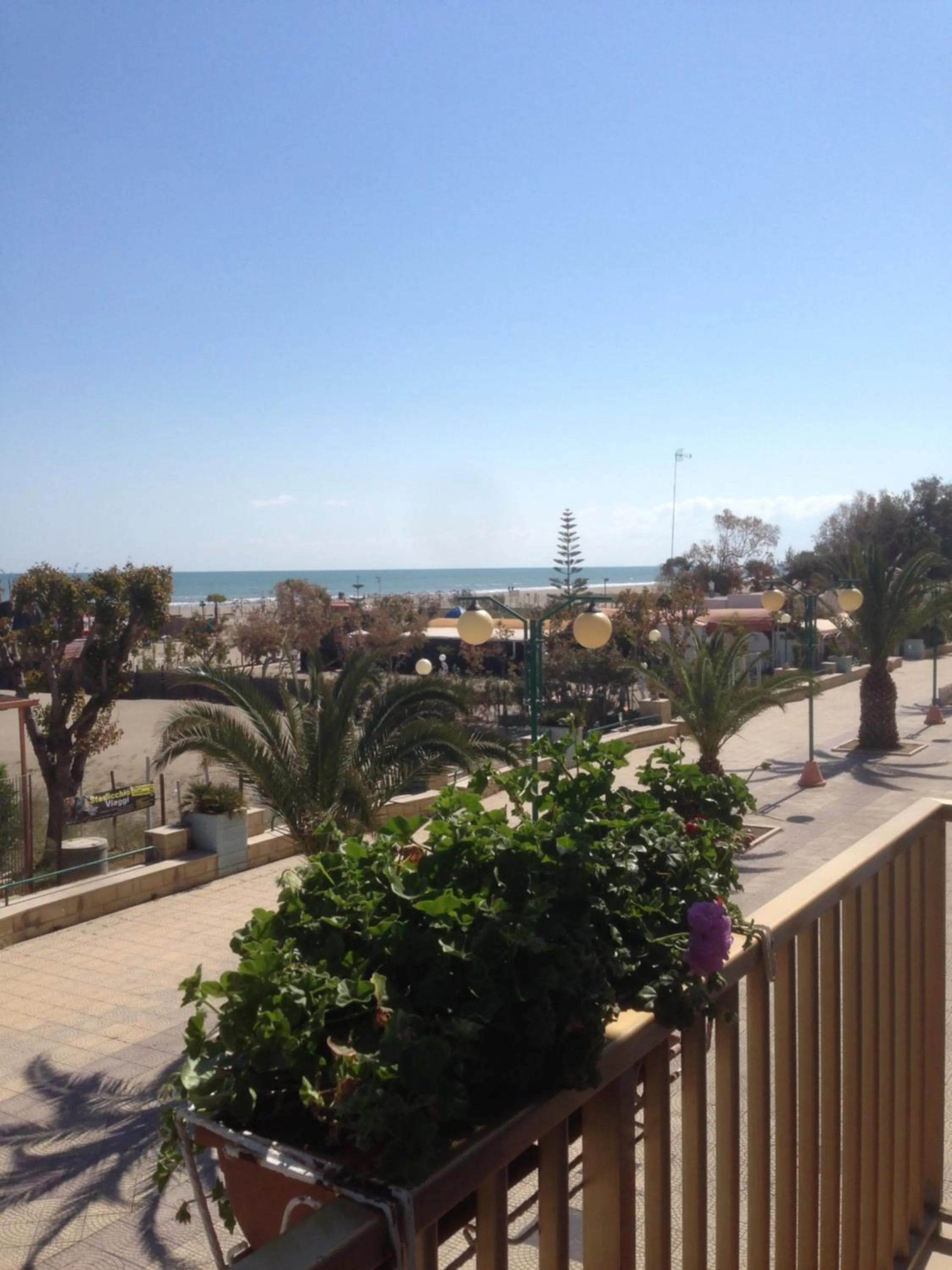 Decorative detail in Margheritamare