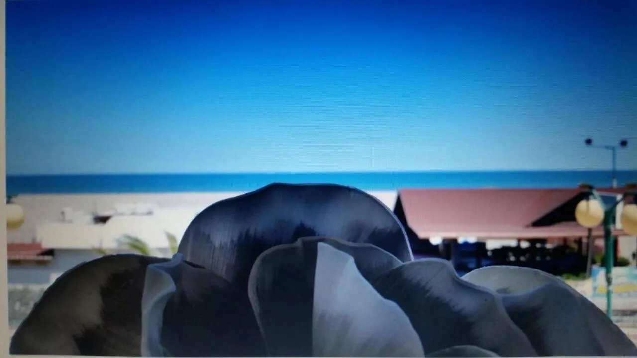 Decorative detail in Margheritamare