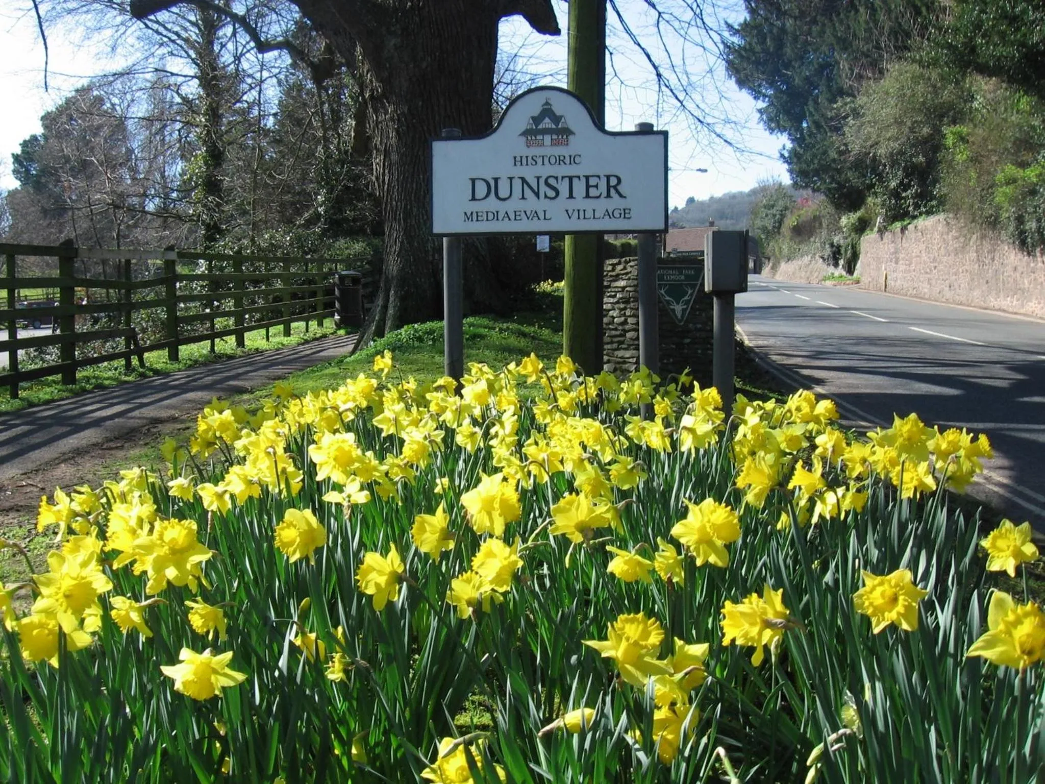 Area and facilities in Yarn Market Hotel