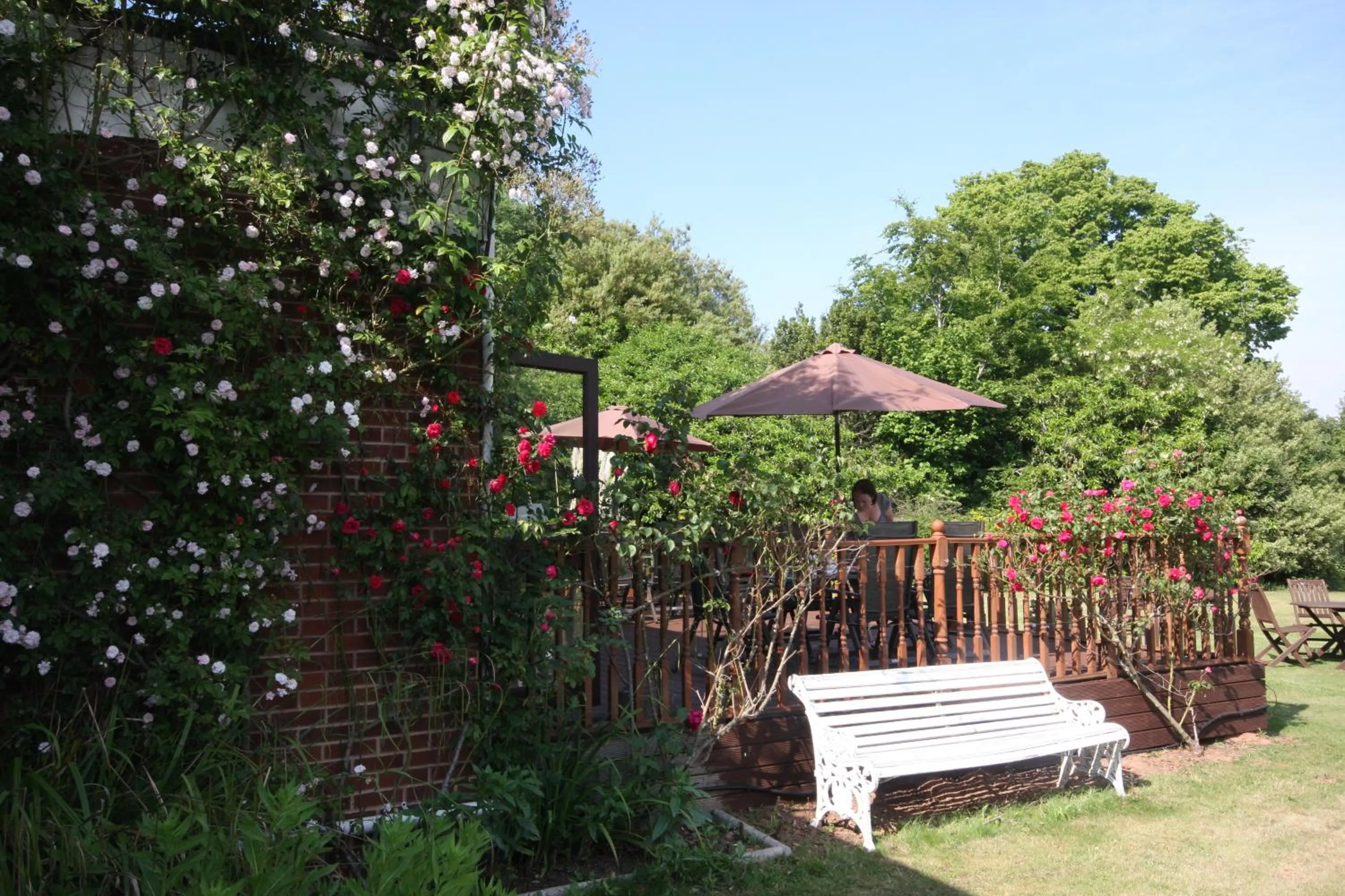 Garden in Gipsy Hill Hotel