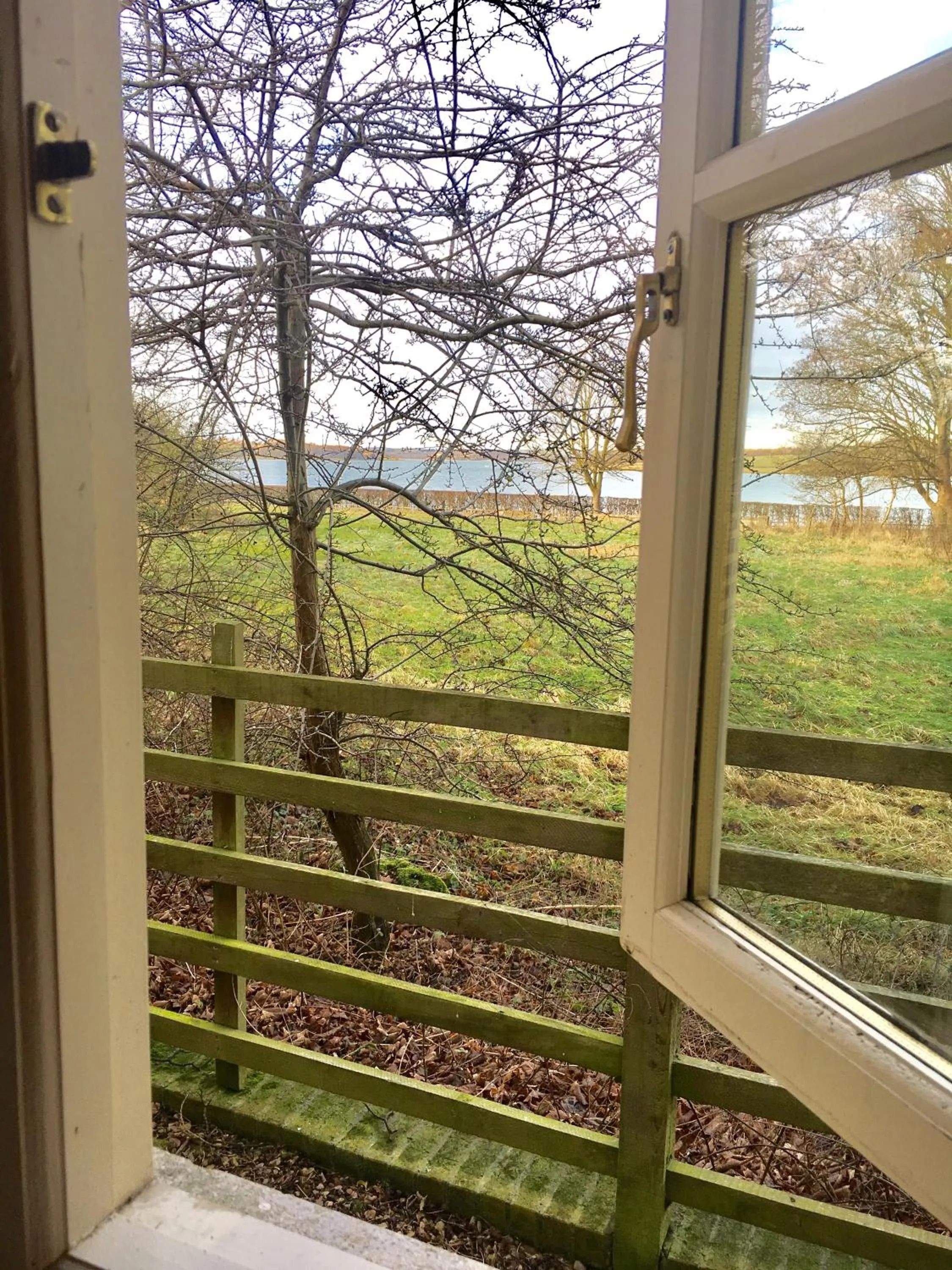 Garden view in Normanton Park Hotel, Sure Hotel Collection by Best Western