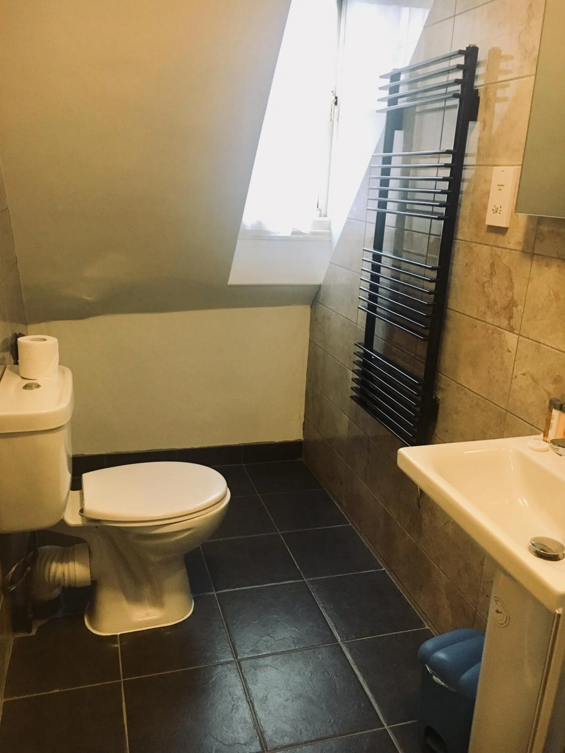 Toilet in Normanton Park Hotel, Sure Hotel Collection by Best Western