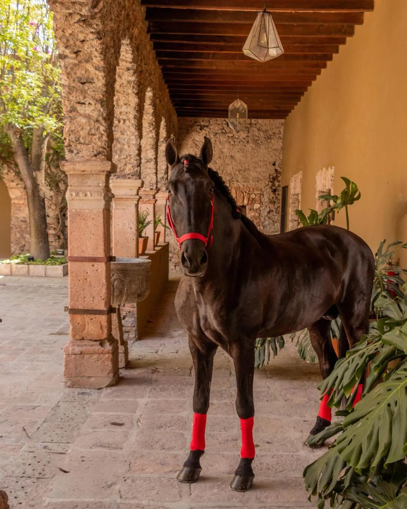 Activities in Hacienda El Salitre Hotel & Spa