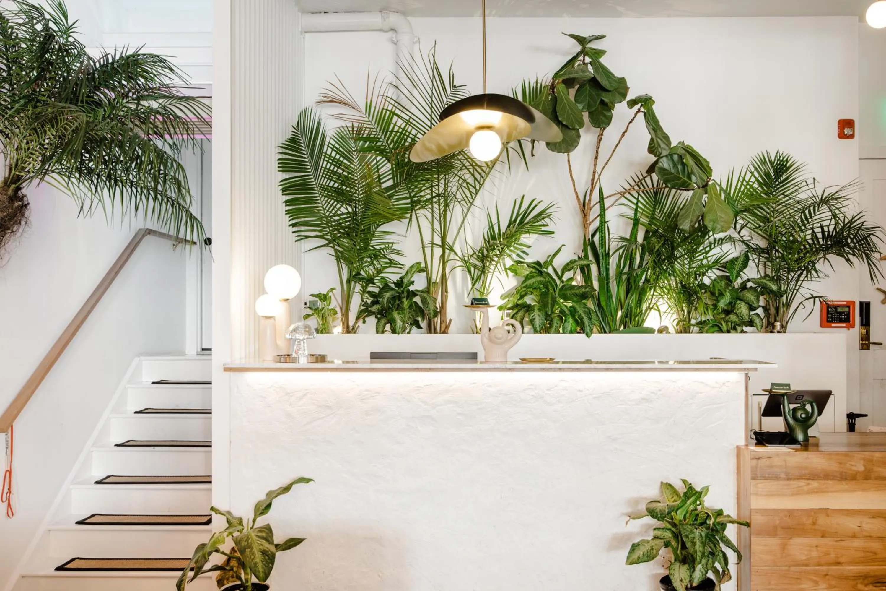 Lobby or reception in American Beech Hotel