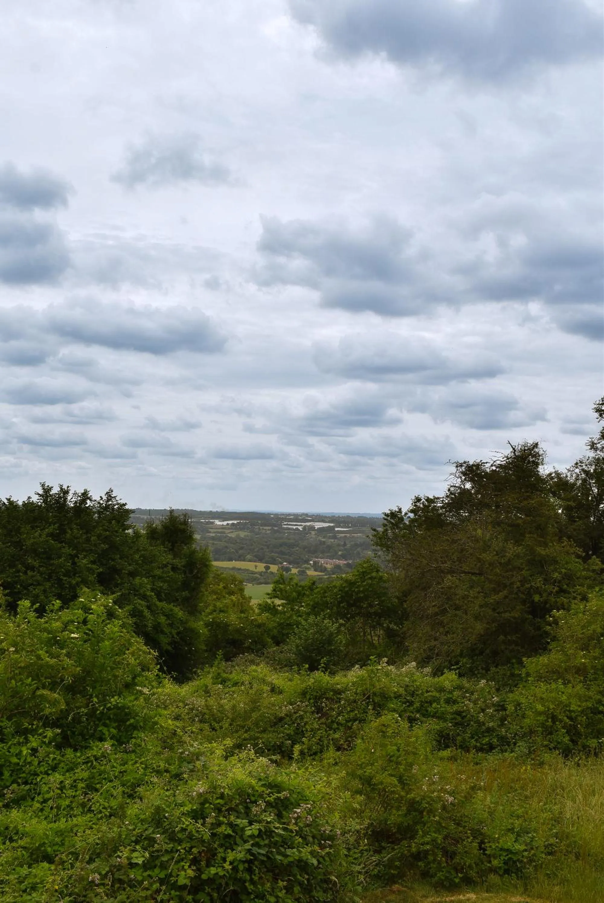 Natural landscape in The Black Horse Inn