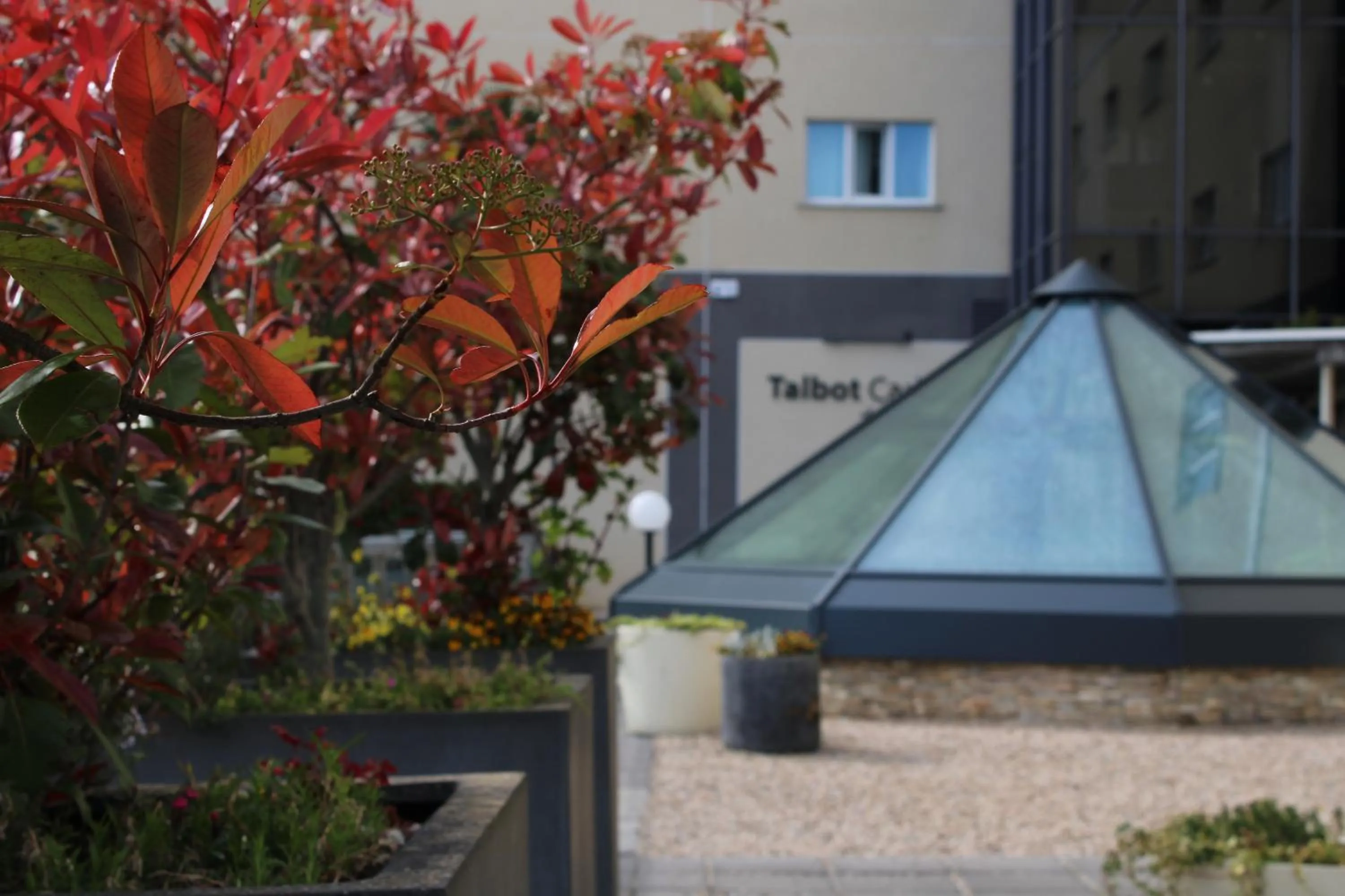 Property building in Talbot Hotel Carlow