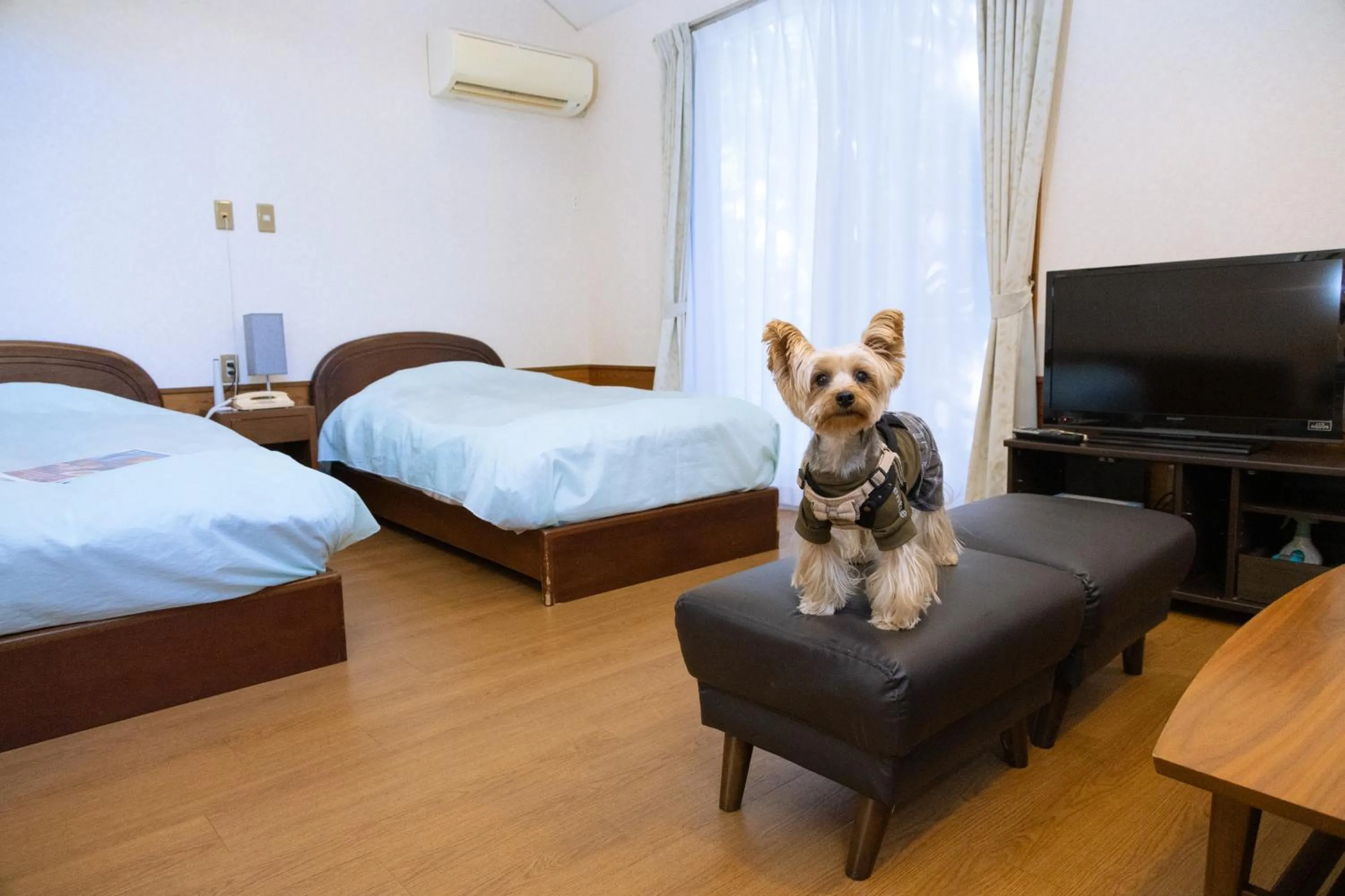 Photo of the whole room, Bed in Le Nessa Akazawa