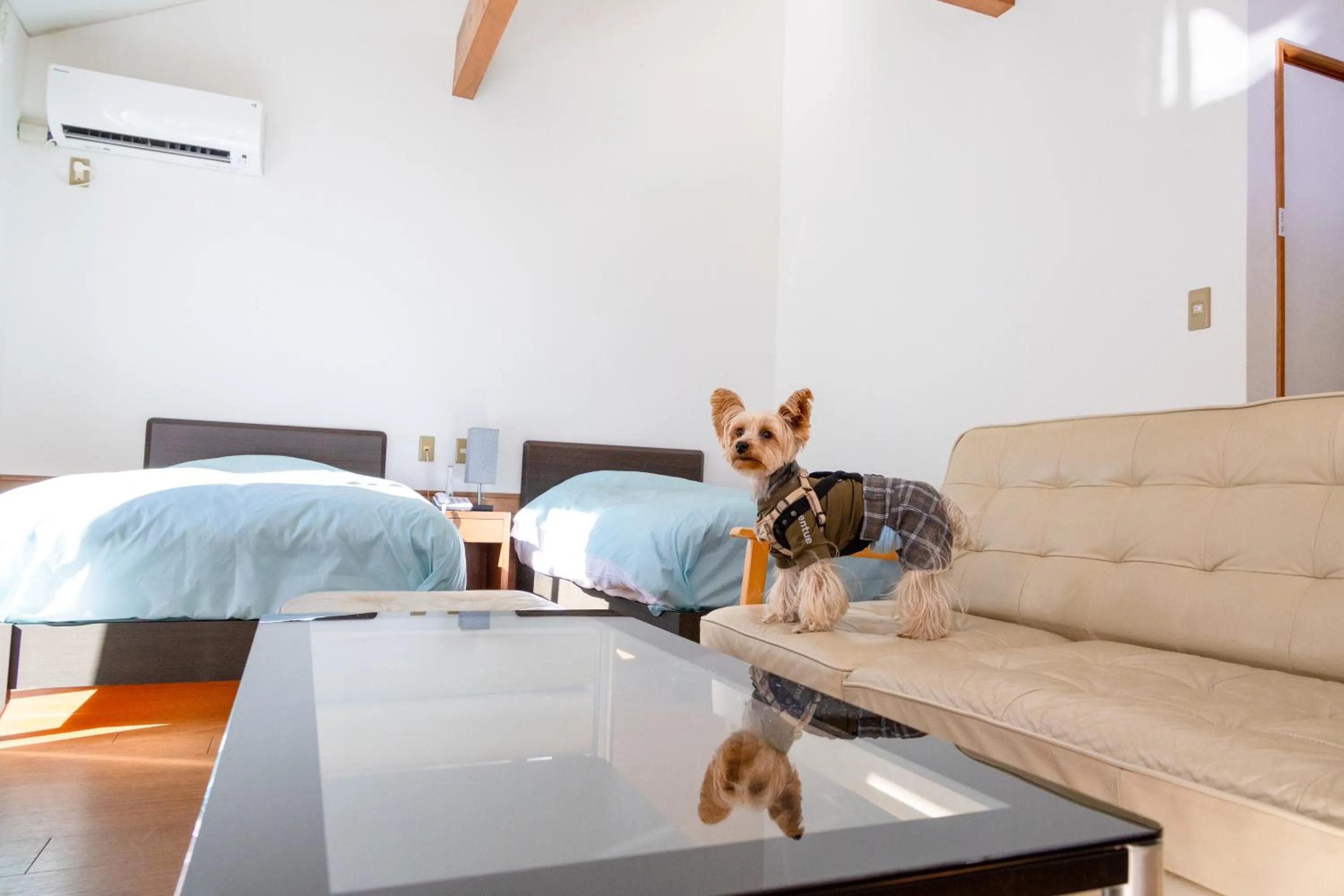 Photo of the whole room, Bed in Le Nessa Akazawa