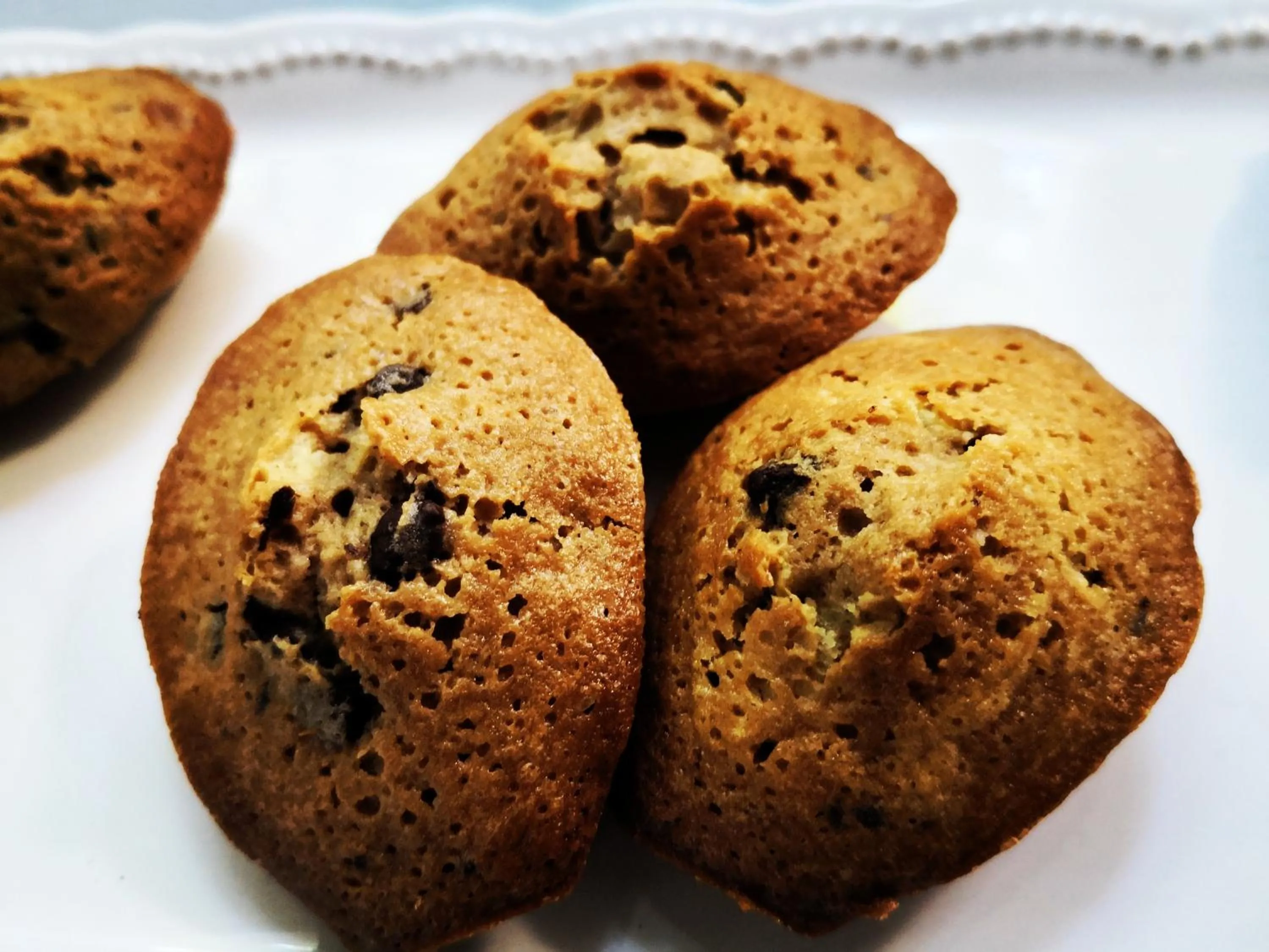 Continental breakfast in BREVOCEAN Chb calme Côte Atlantique