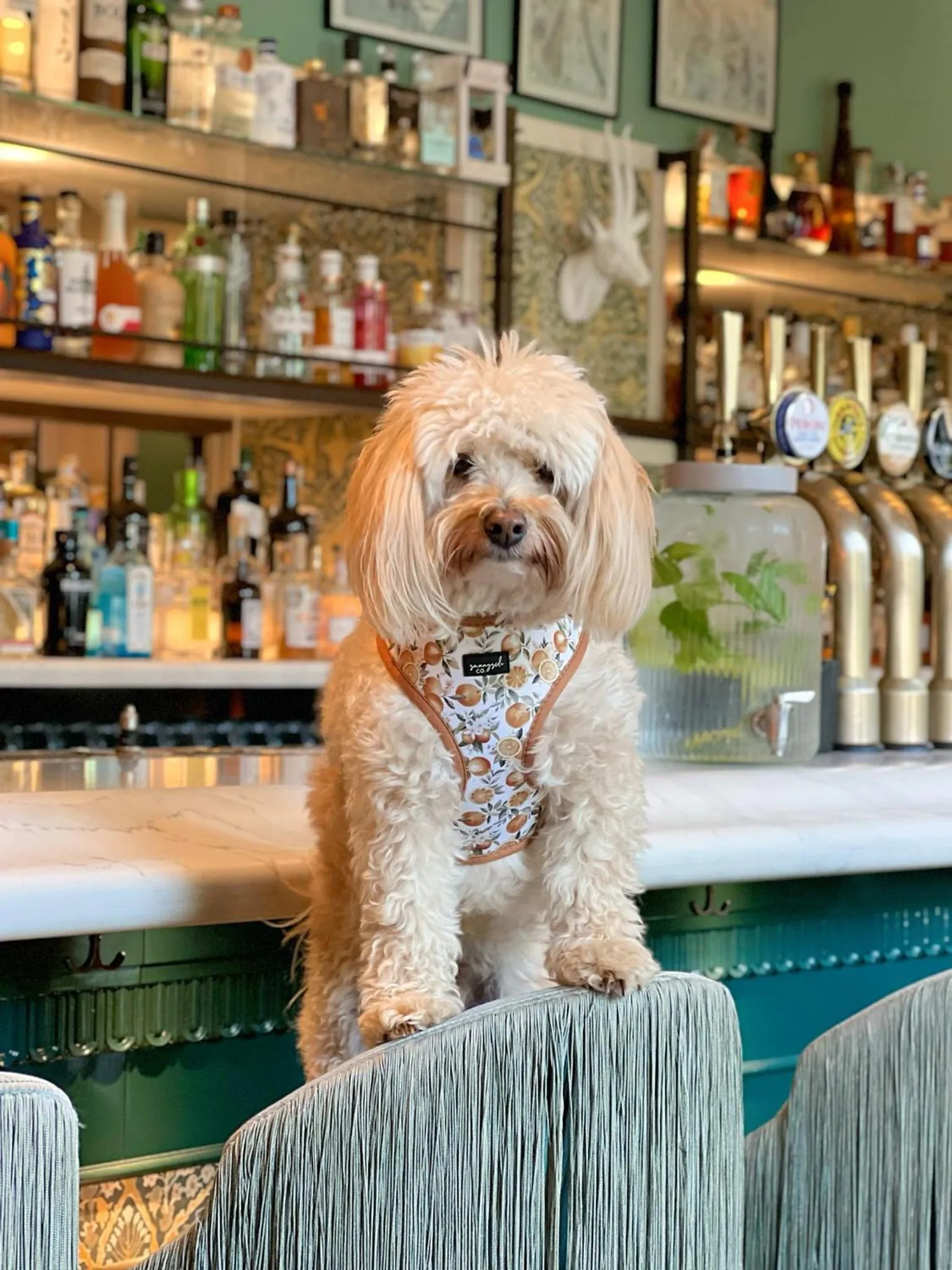 Restaurant/places to eat in Richmond Hill Hotel