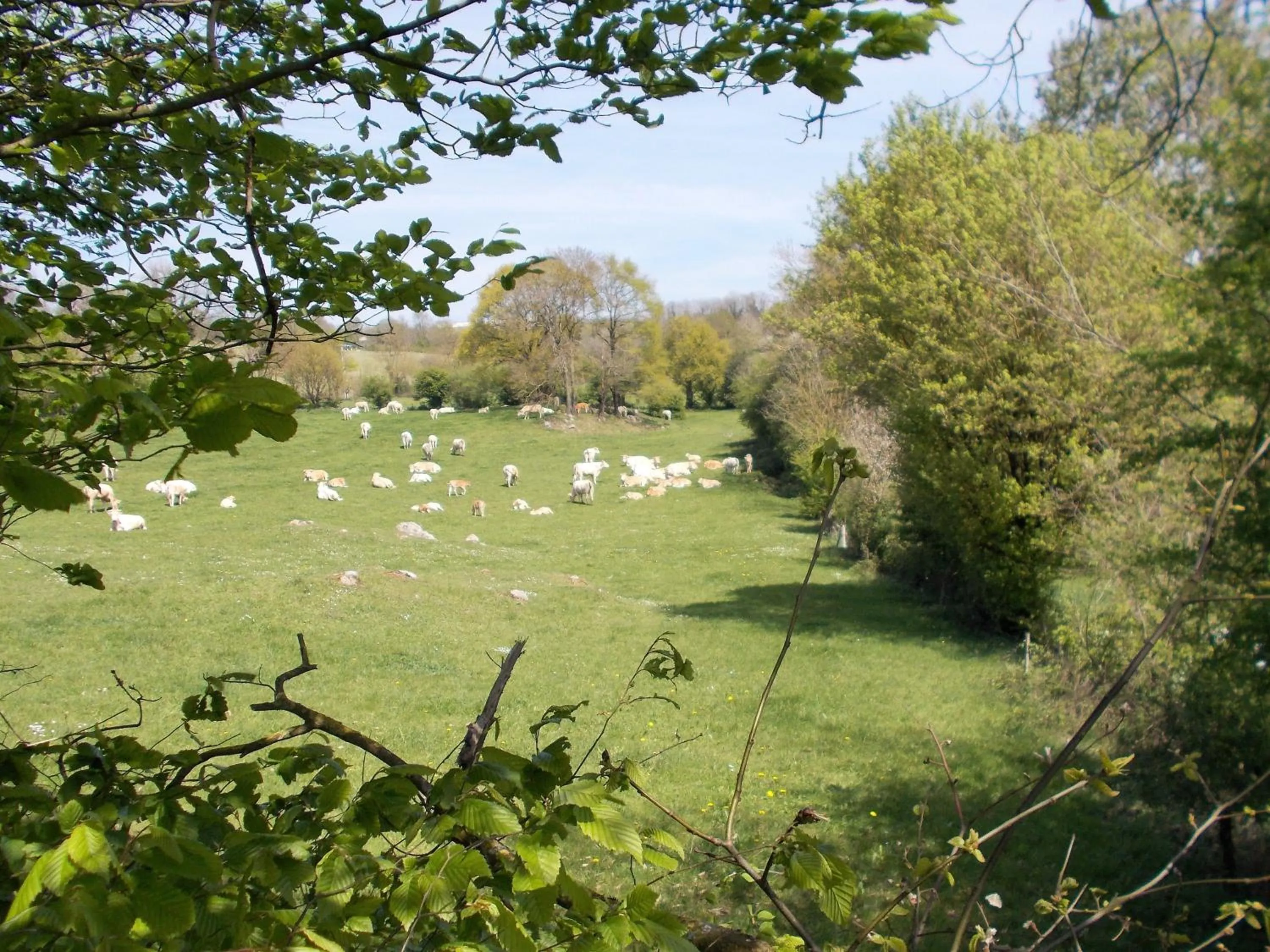 View (from property/room) in Terre et Eau Les chambres d'hotes B&B Sèvremont