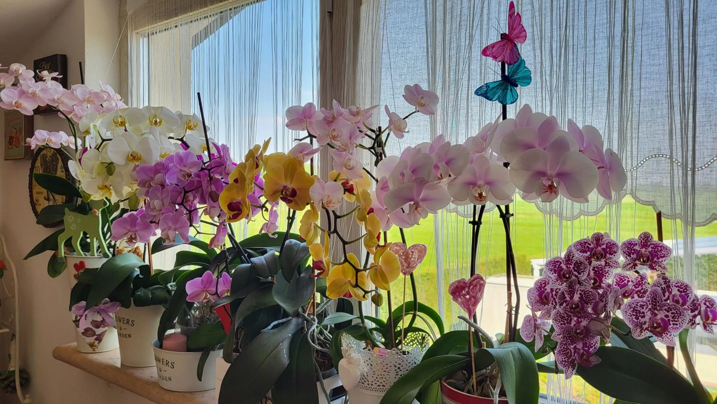 B&B A casa di Eleonora