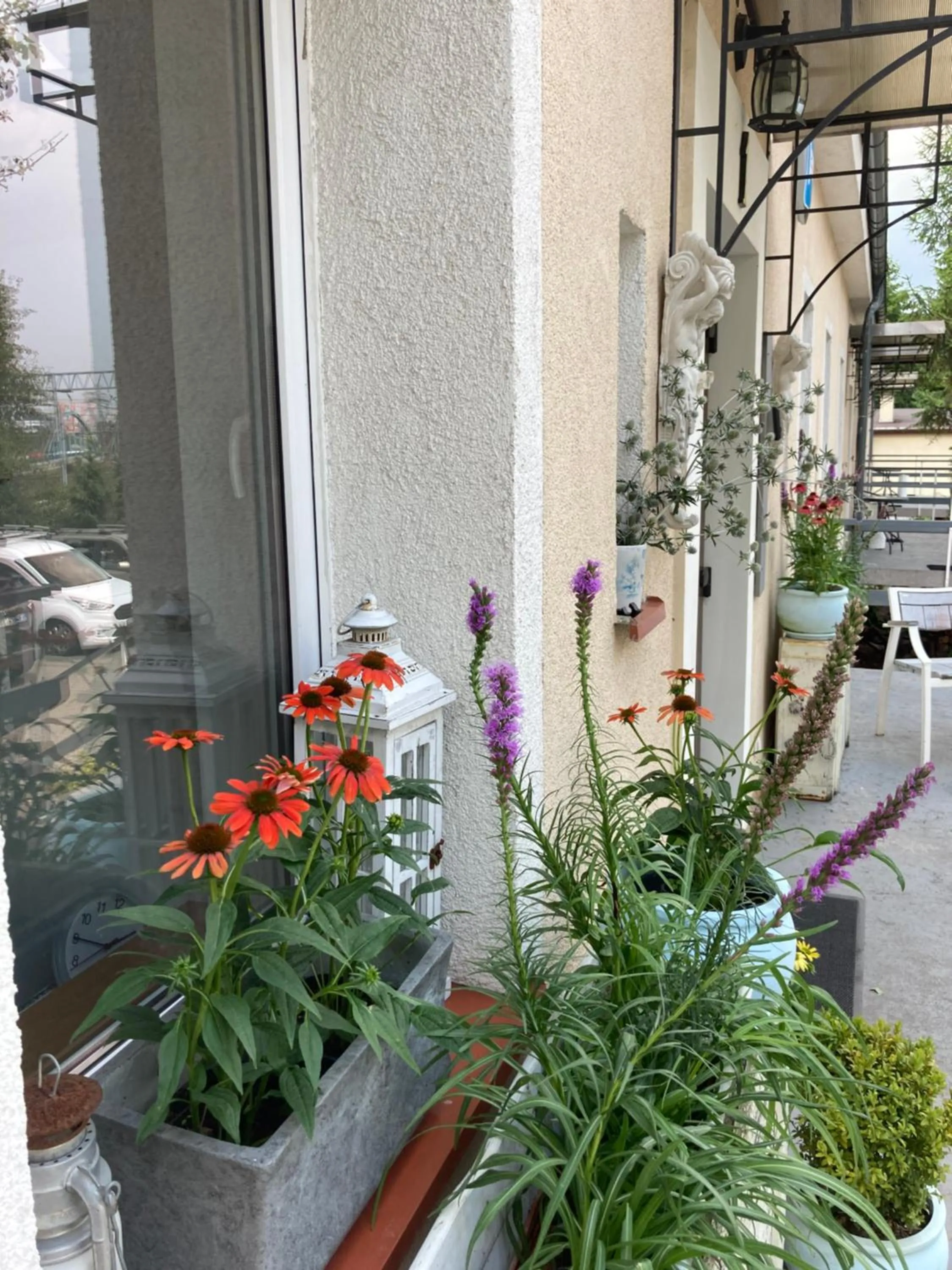 Property building in Villa Italiana pokoje z prywatnymi łazienkami & Odnowa Biologiczna