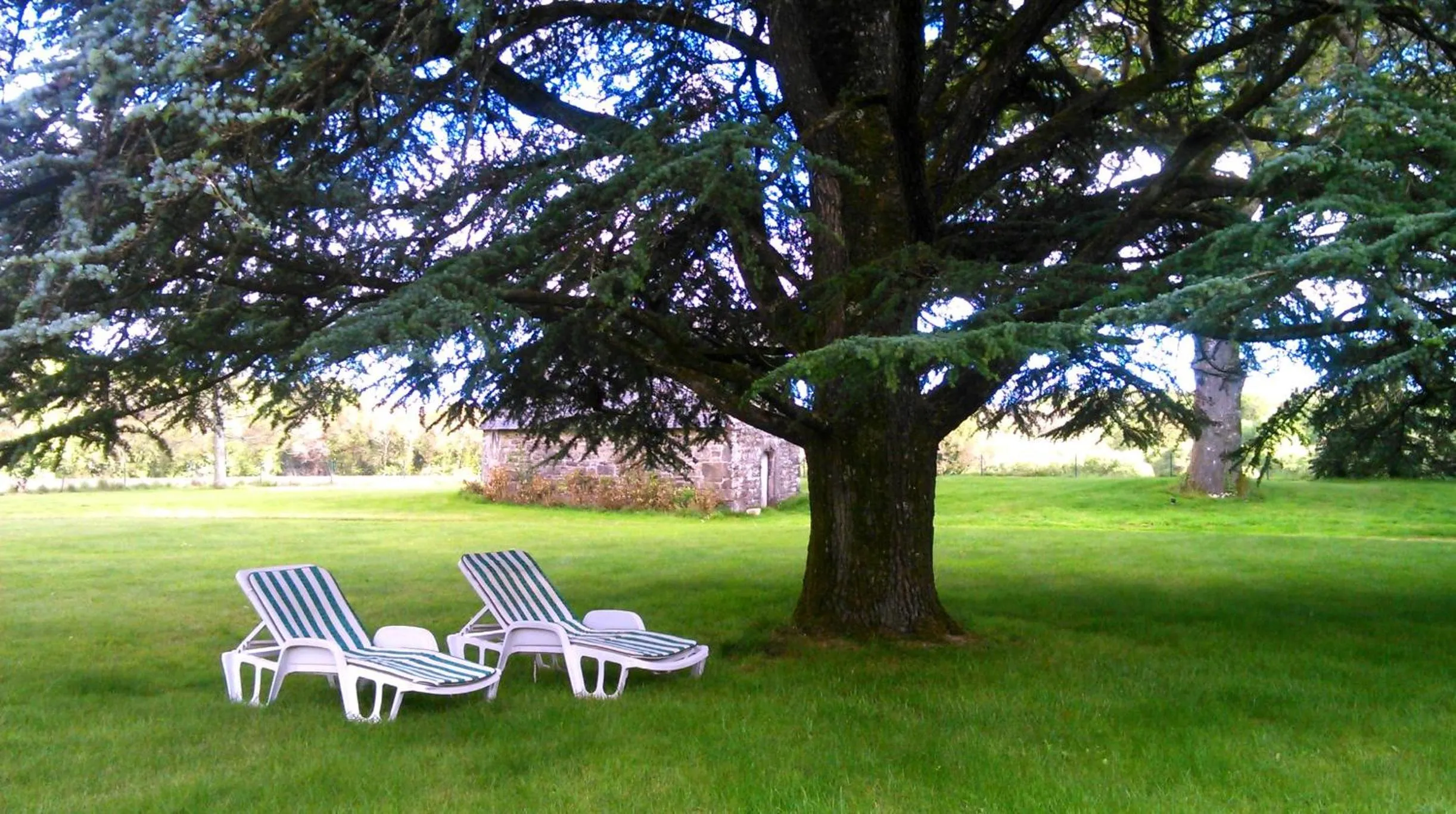 Natural landscape in Manoir Tregont Mab