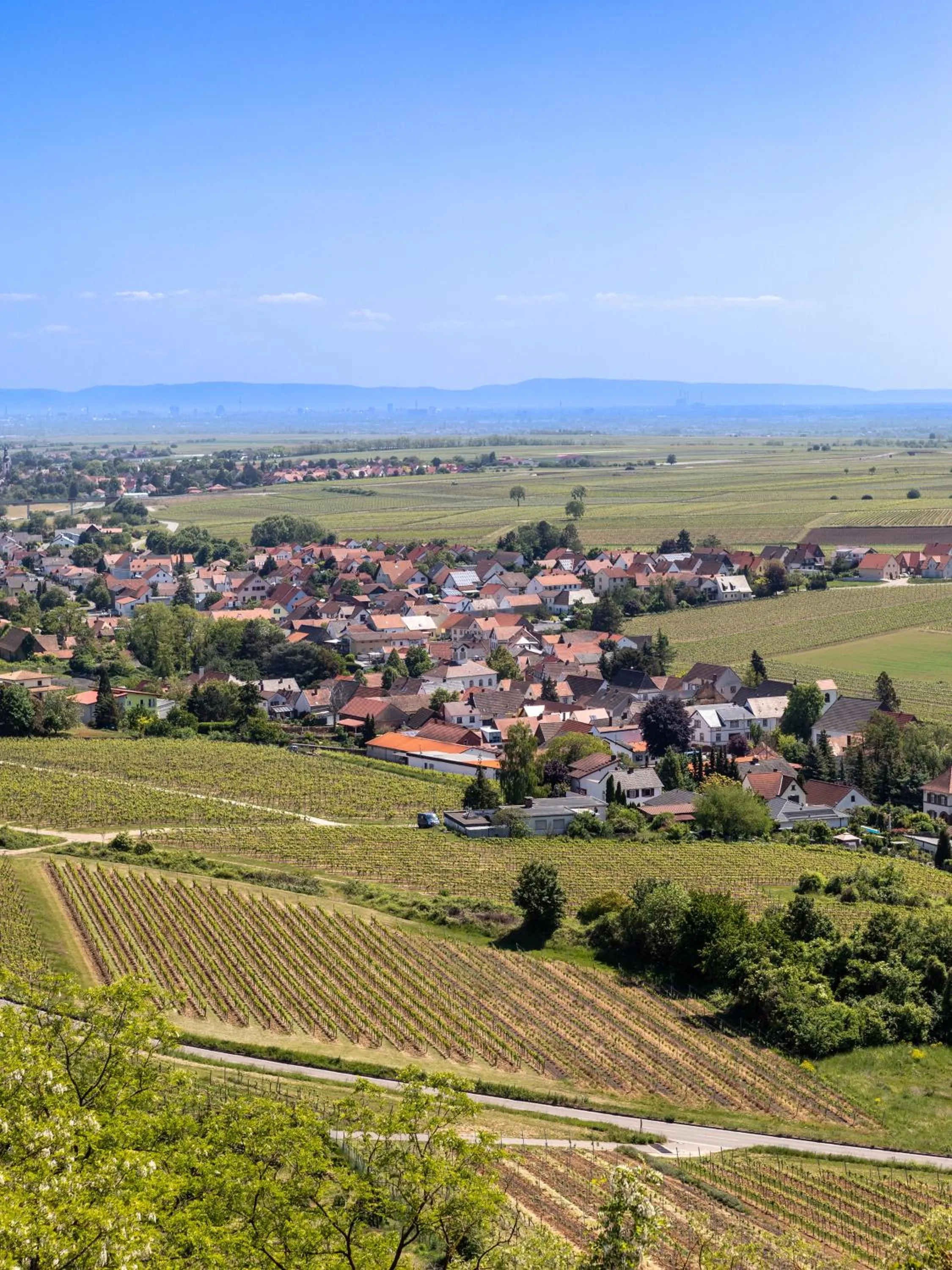 Property building in Hotel Zum Burggraf