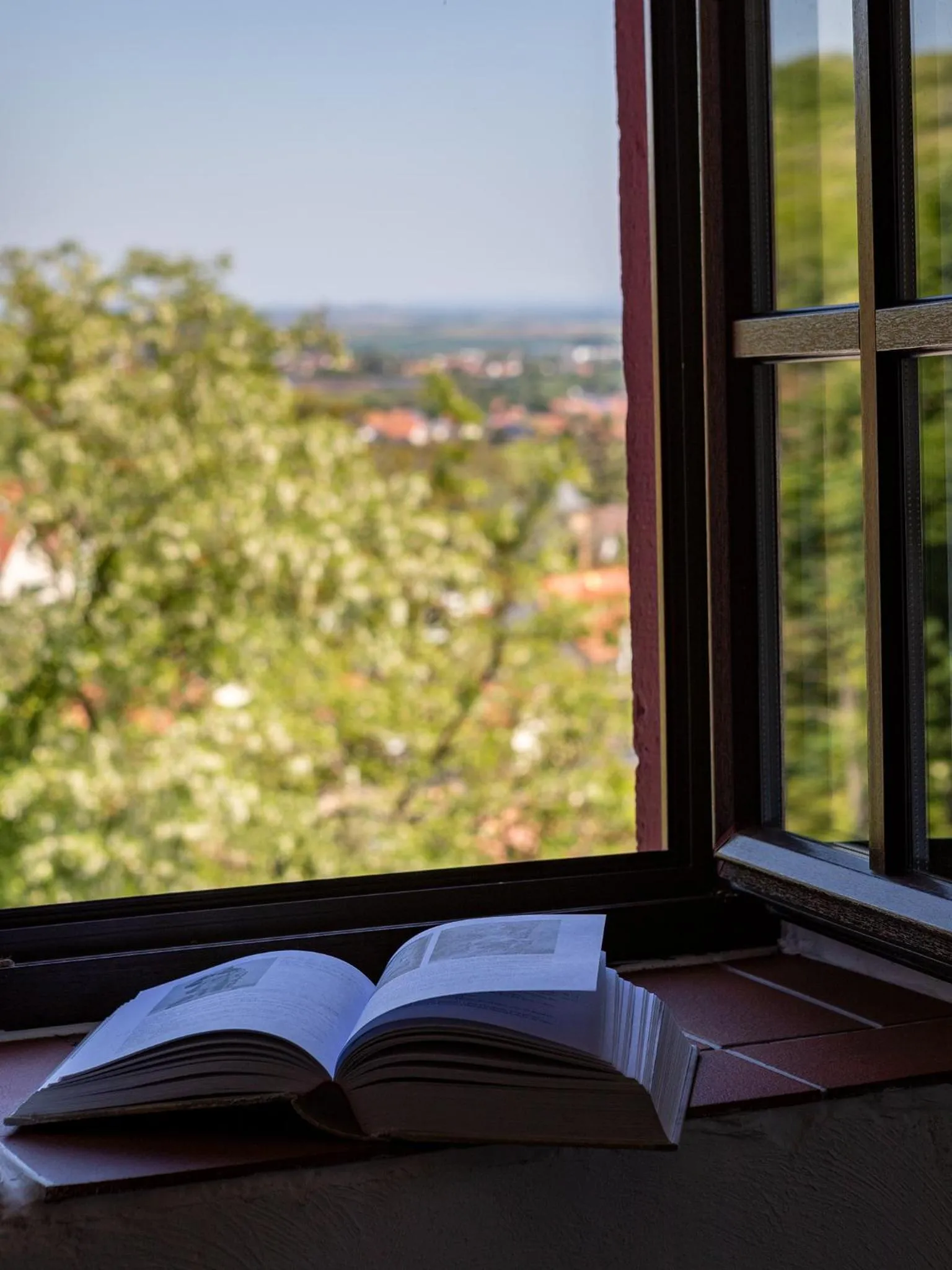 Spring in Hotel Zum Burggraf