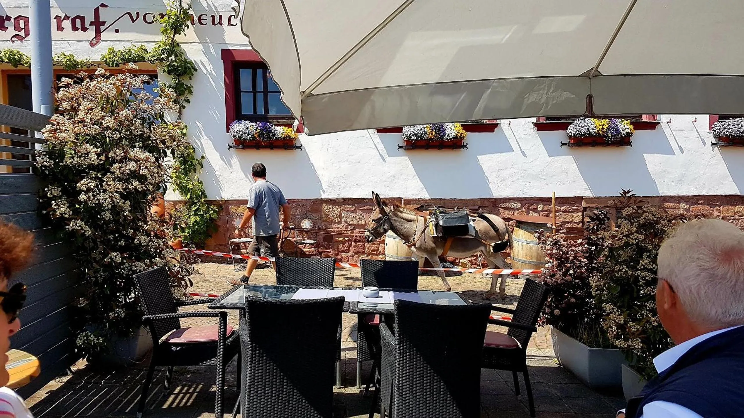 Property building in Hotel Zum Burggraf