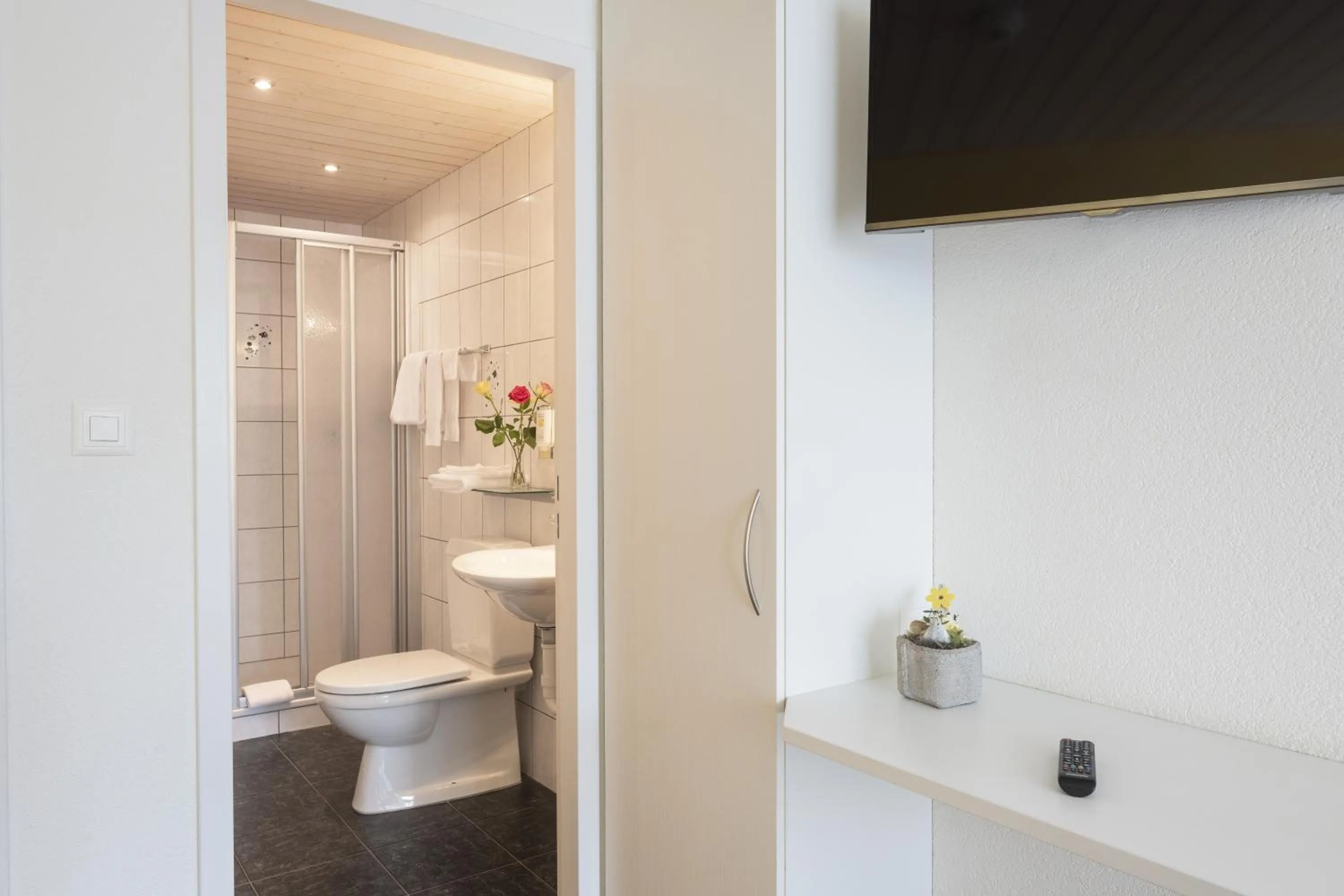 Shower in Hotel Bahnhof Zollikofen