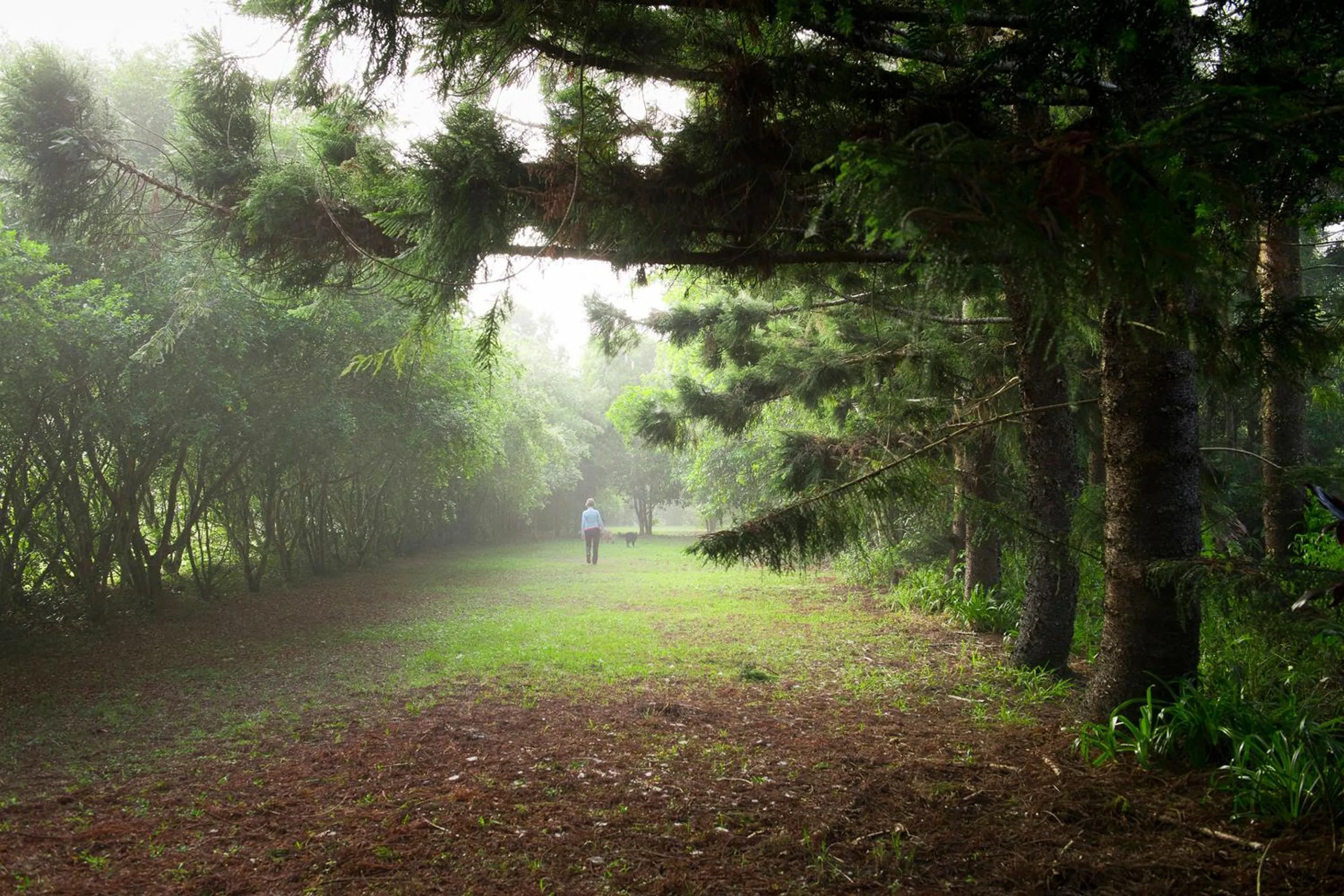 Garden in Sharlynn by the River