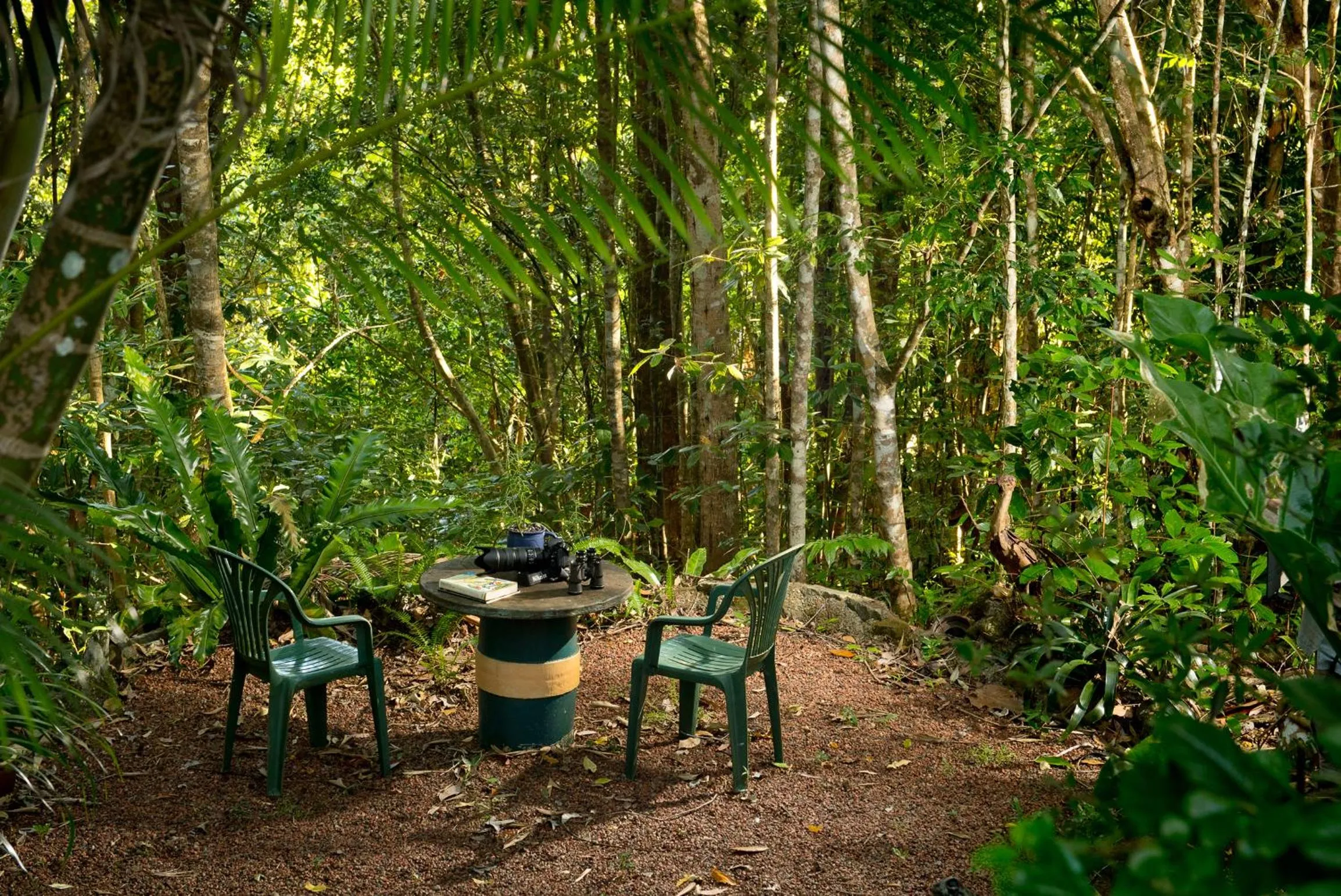 Natural landscape in Sharlynn by the River