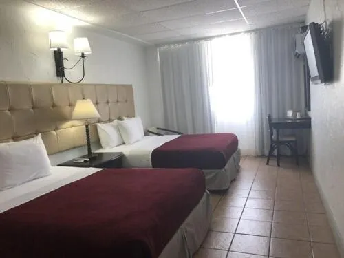 Bed in Coral by the Sea