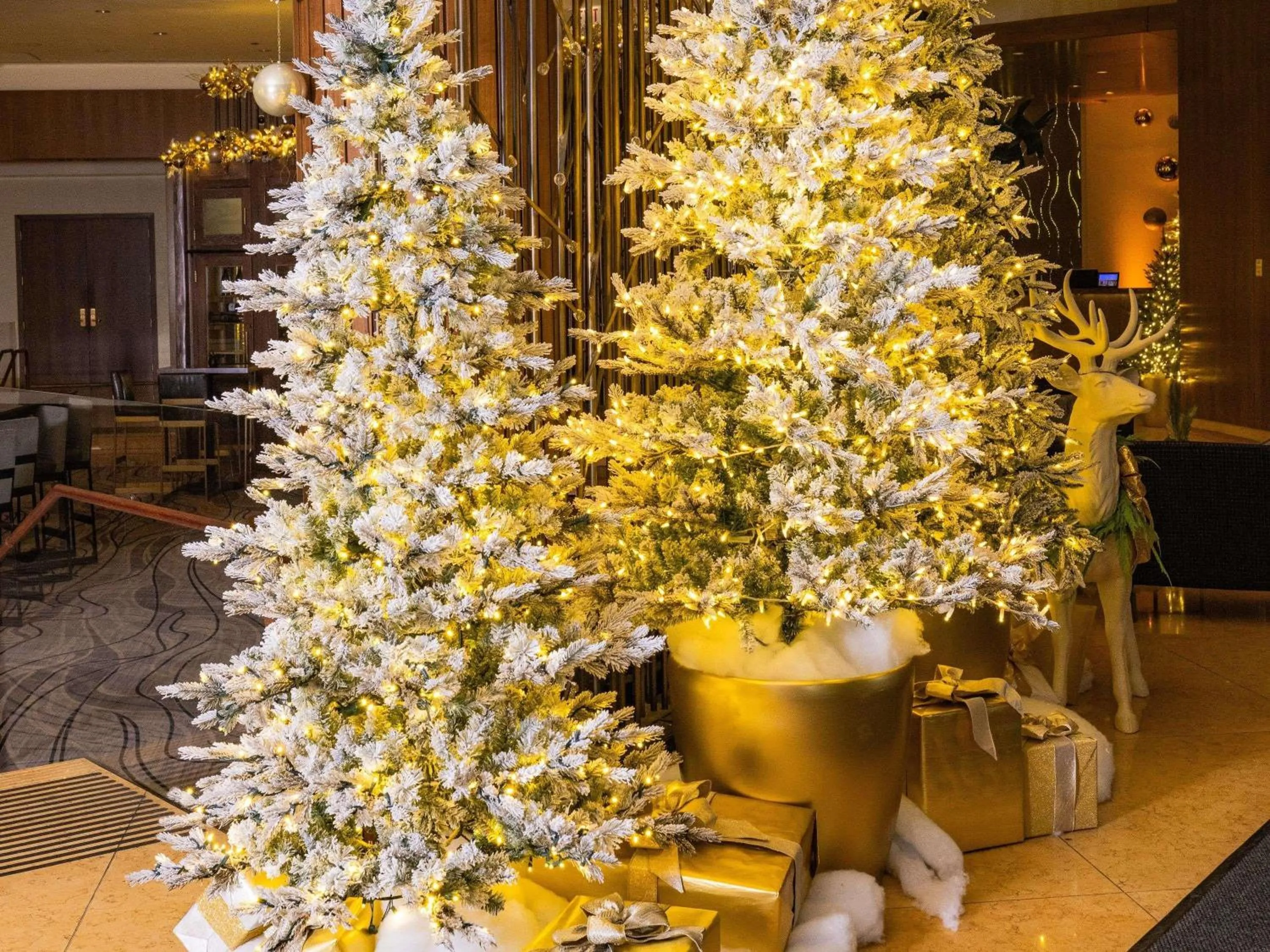 Other in Fairmont Chicago Millennium Park