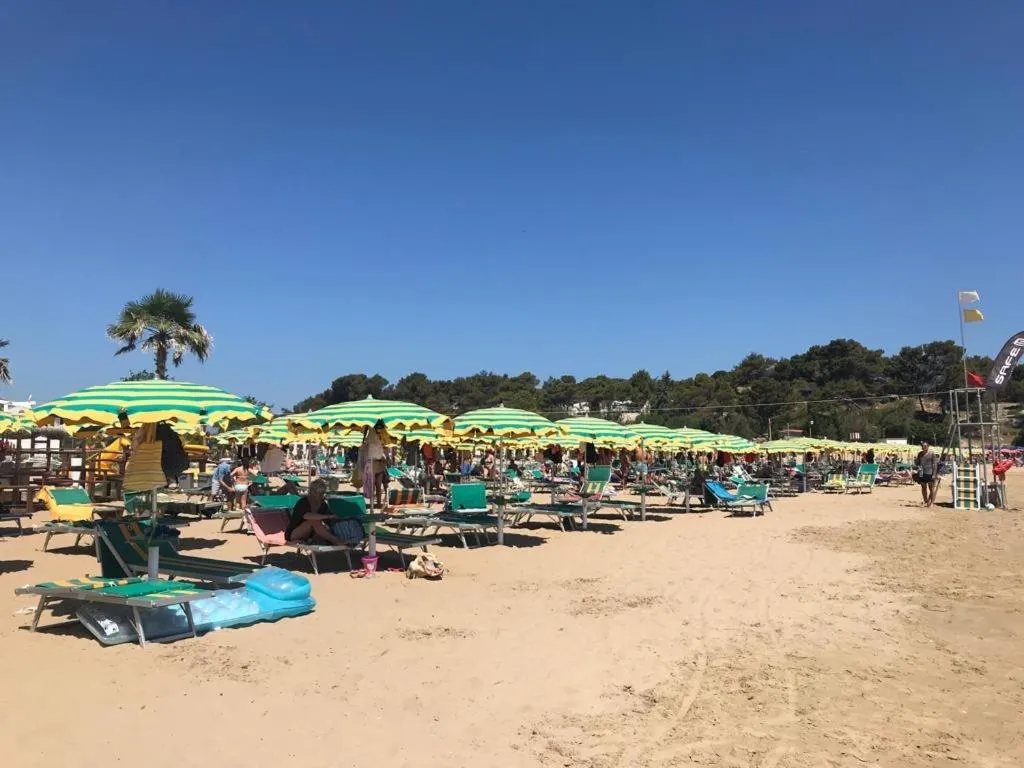 Beach in Residence Jolly