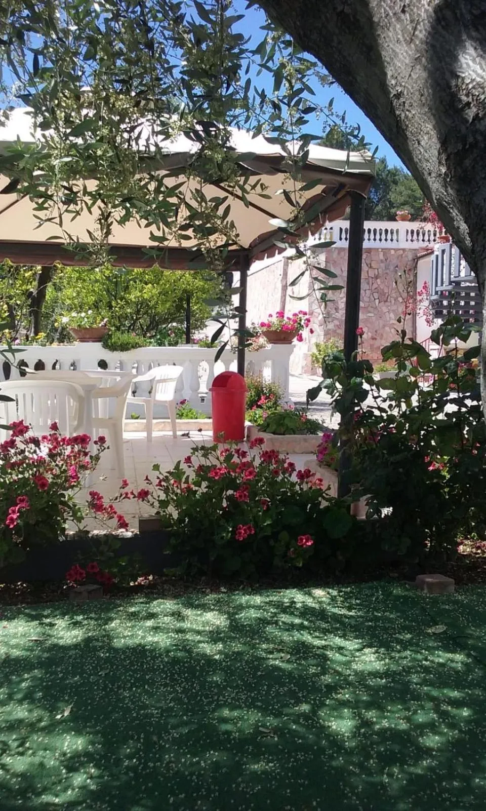 Spring in Residence Jolly