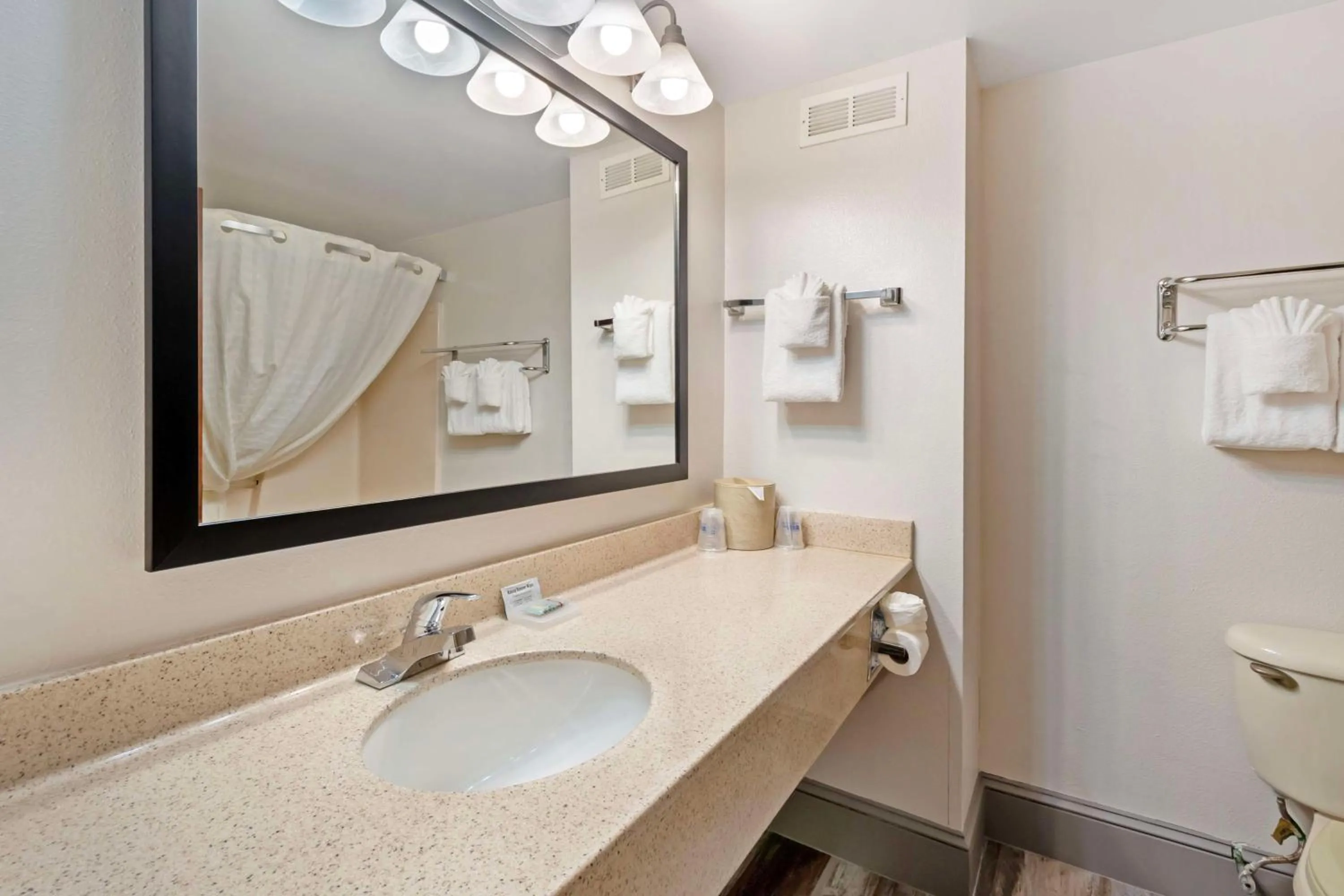 Bathroom in Best Western Magnolia Inn and Suites