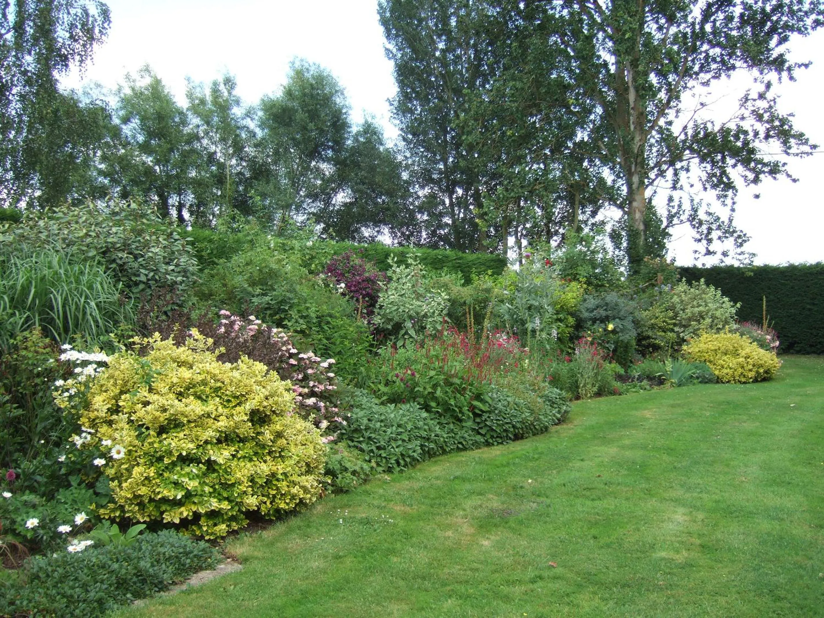 Natural landscape in Lime Trees Farm