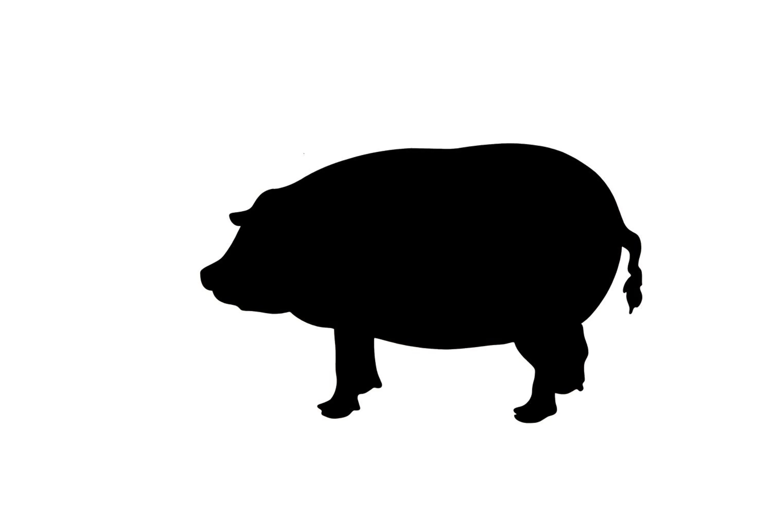 Antiga "Casa do Porco"