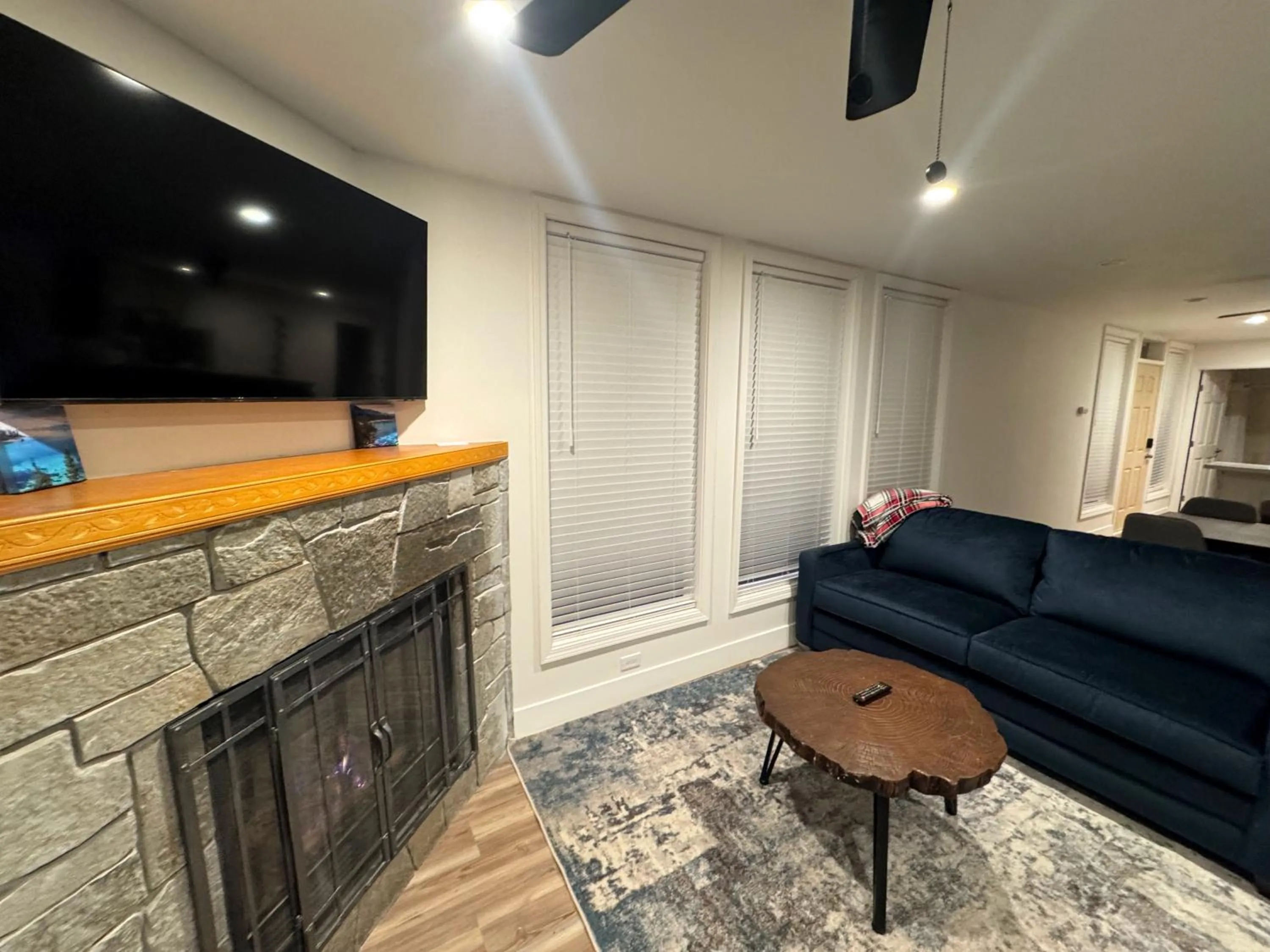 TV and multimedia in Firelite Lodge