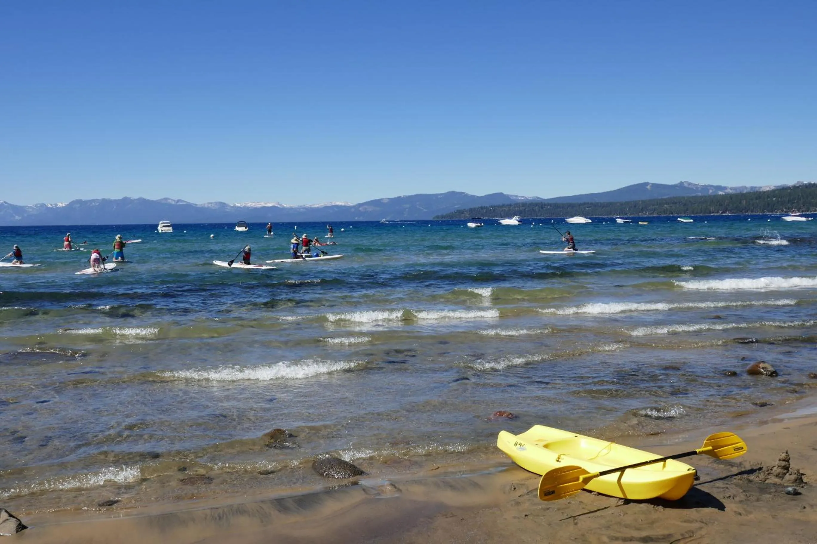 Neighbourhood in Firelite Lodge