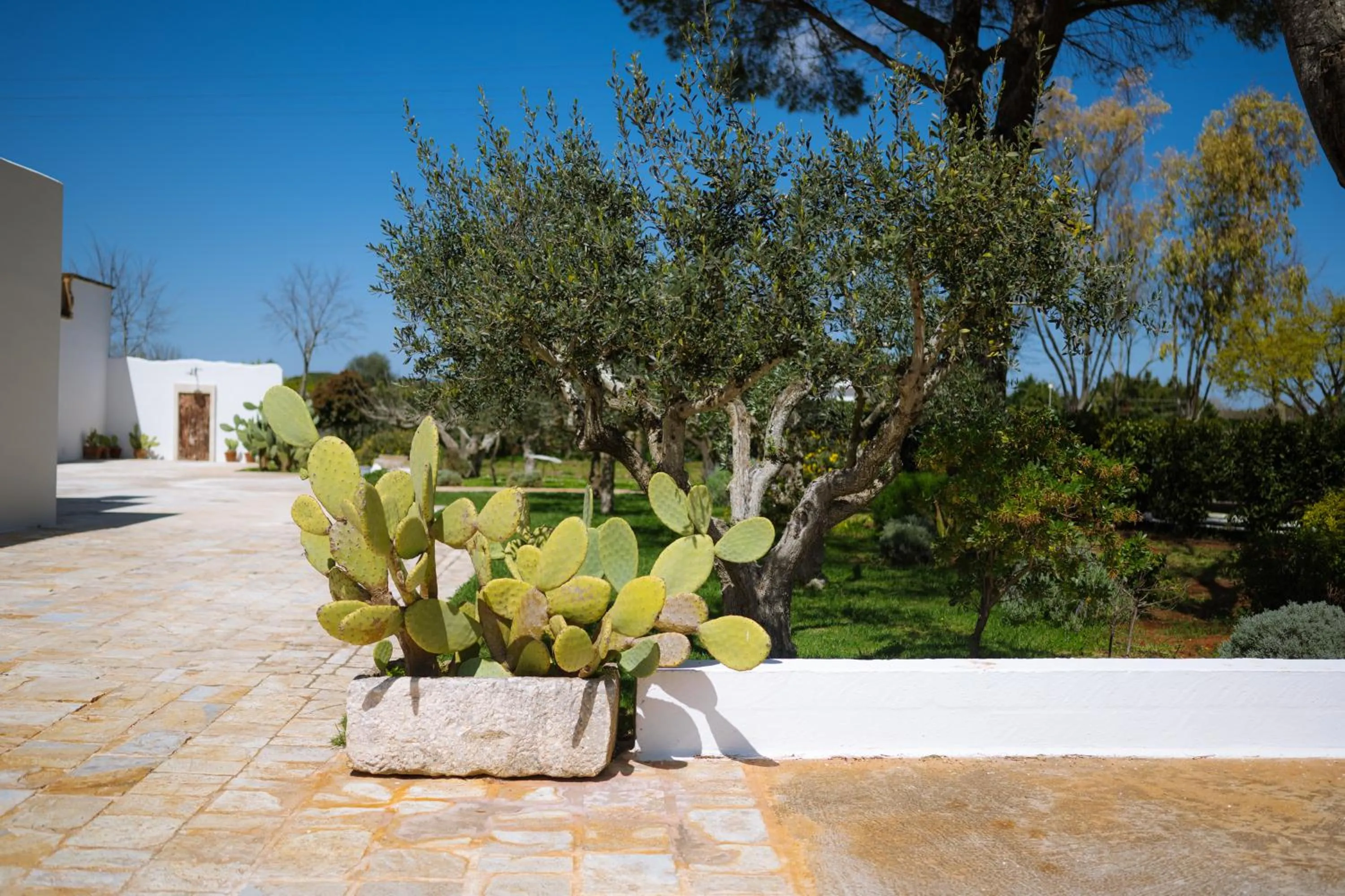 Spring in Masseria San Michele