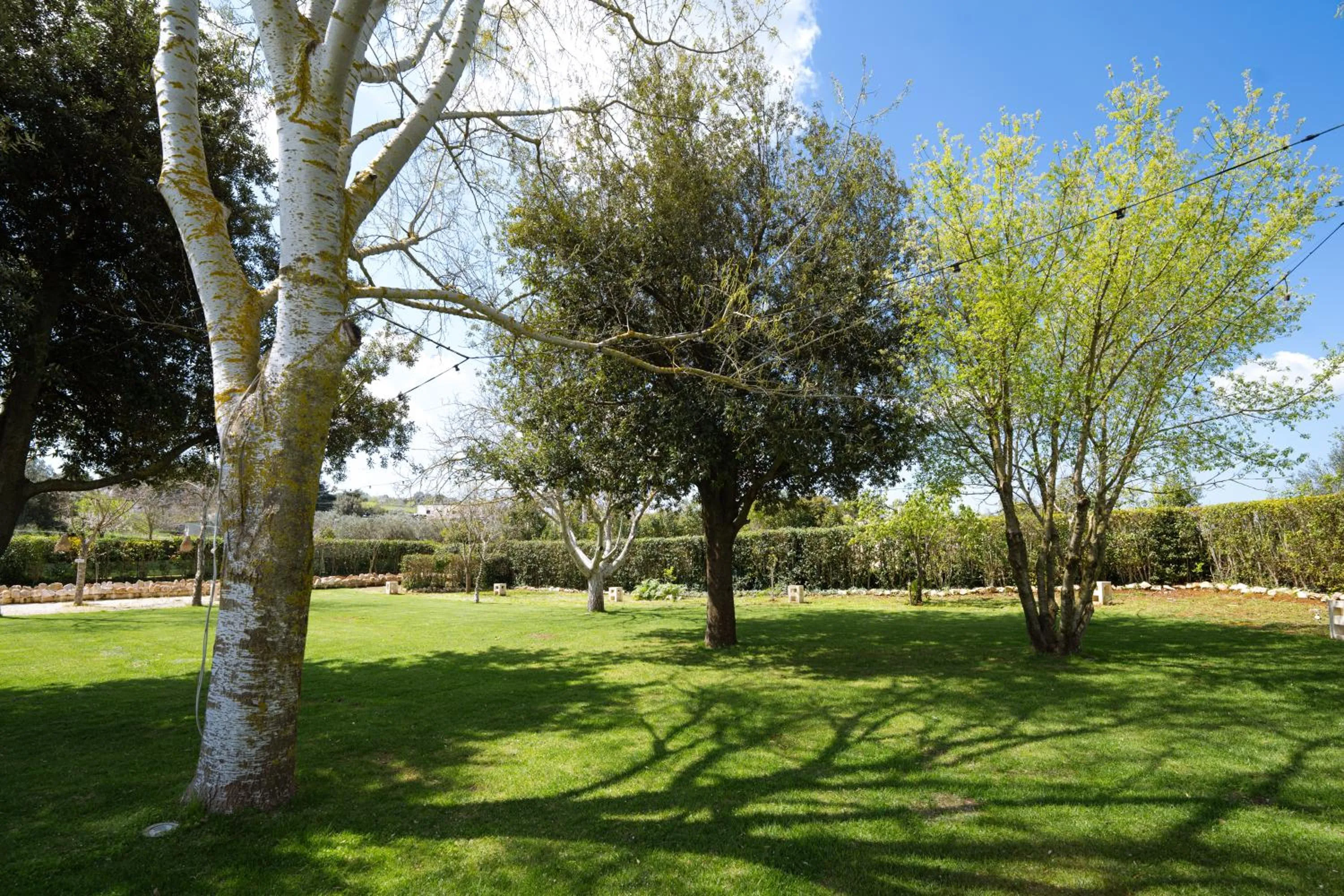 Spring in Masseria San Michele