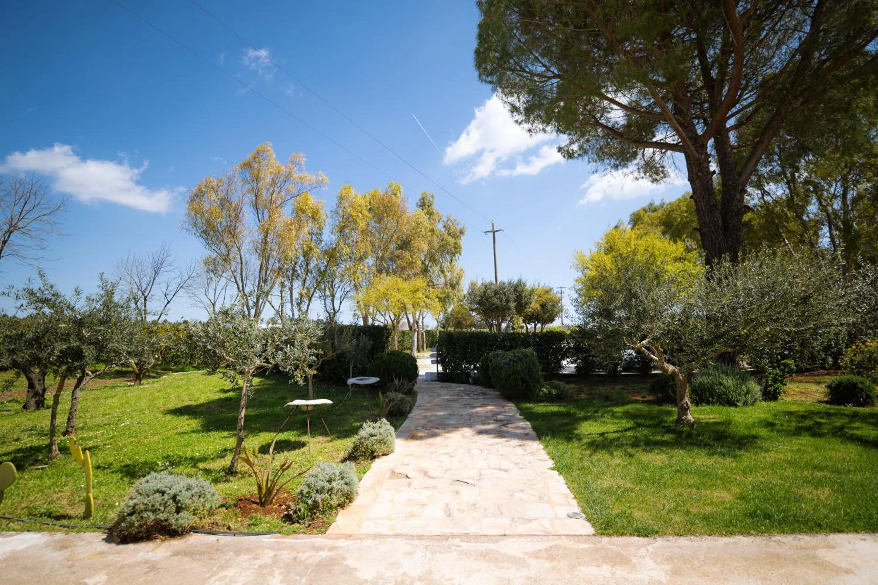 Spring in Masseria San Michele