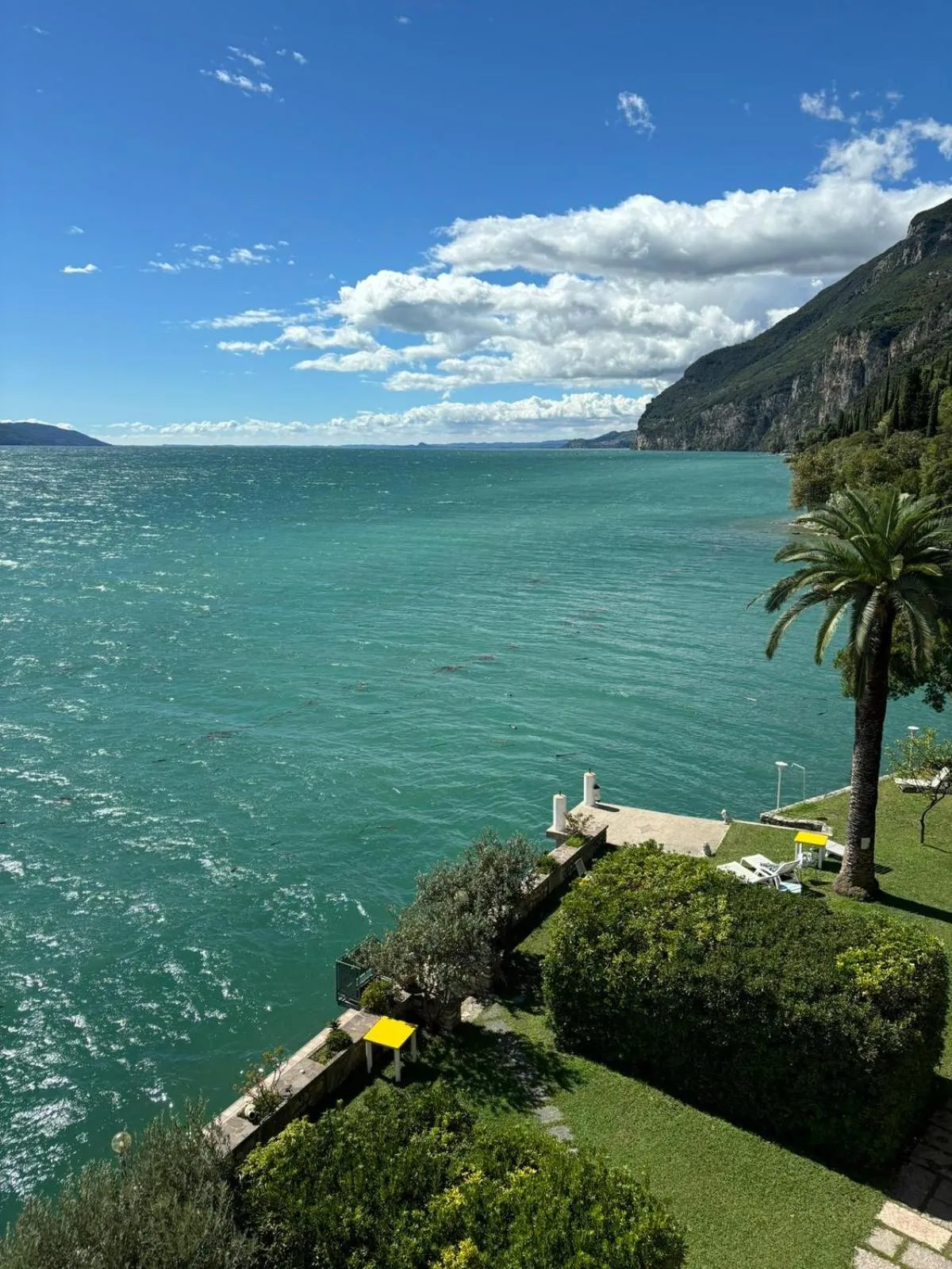 Spring in Hotel Forbisicle