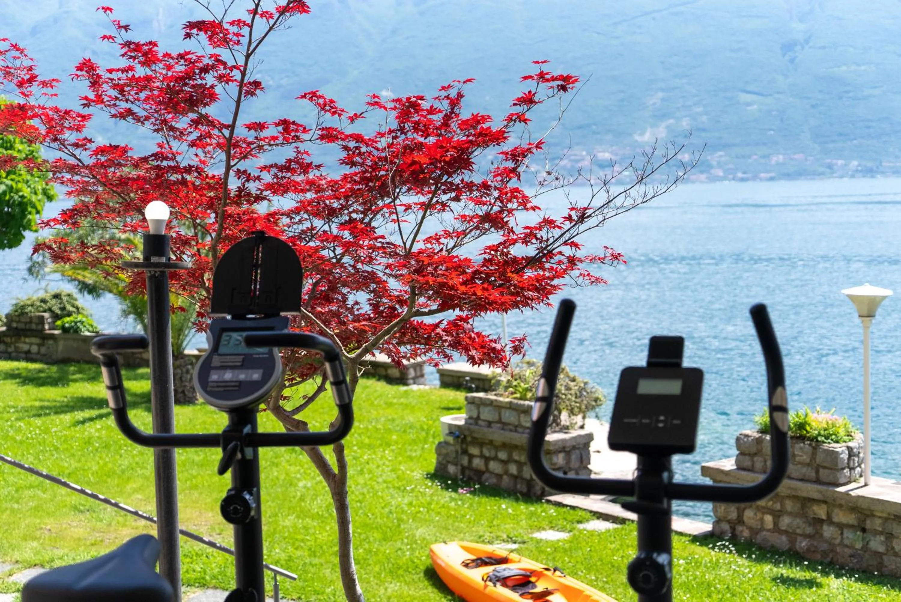 Garden in Hotel Forbisicle