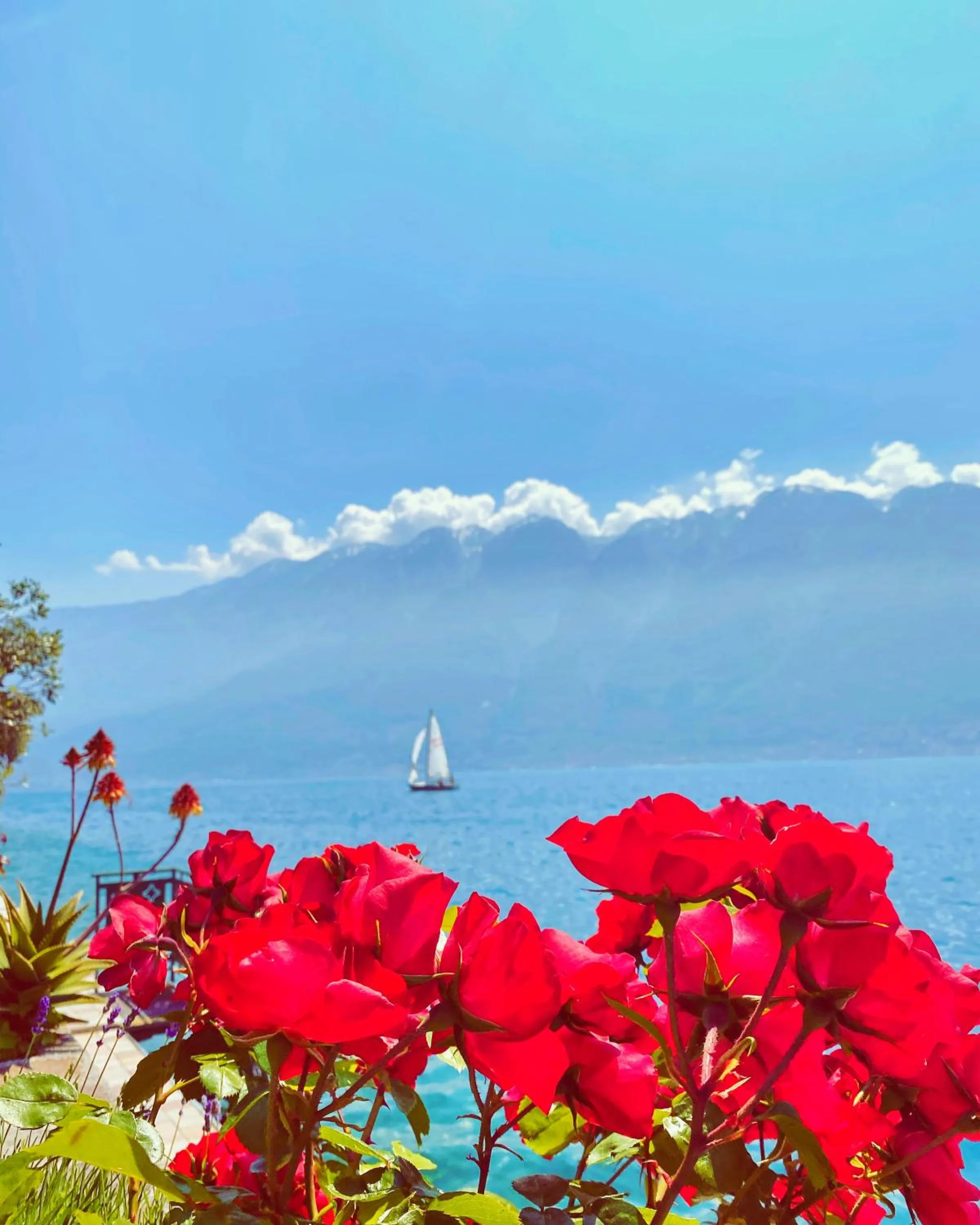 Natural landscape in Hotel Forbisicle